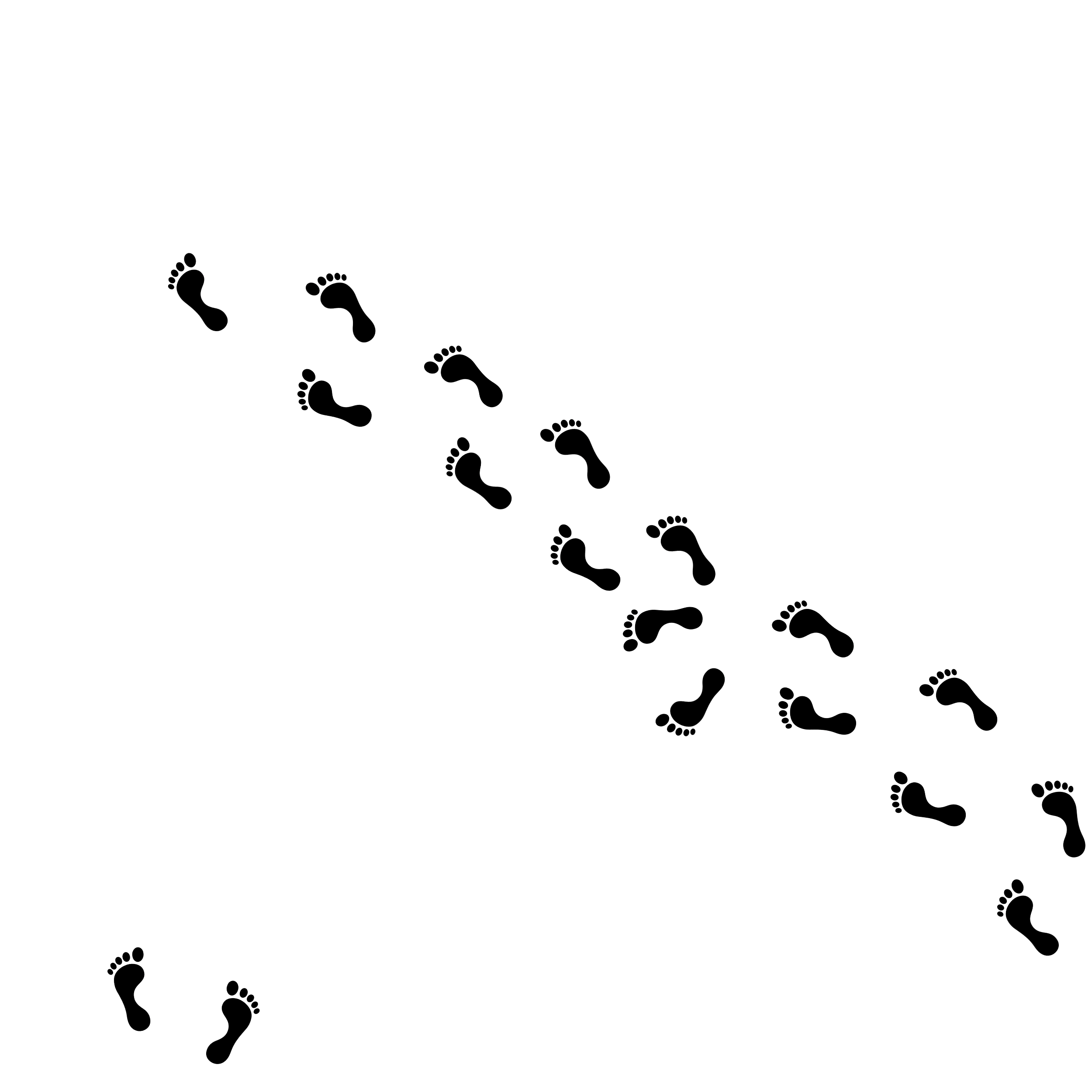 Set of black footprint icons scattered randomly on a white background.