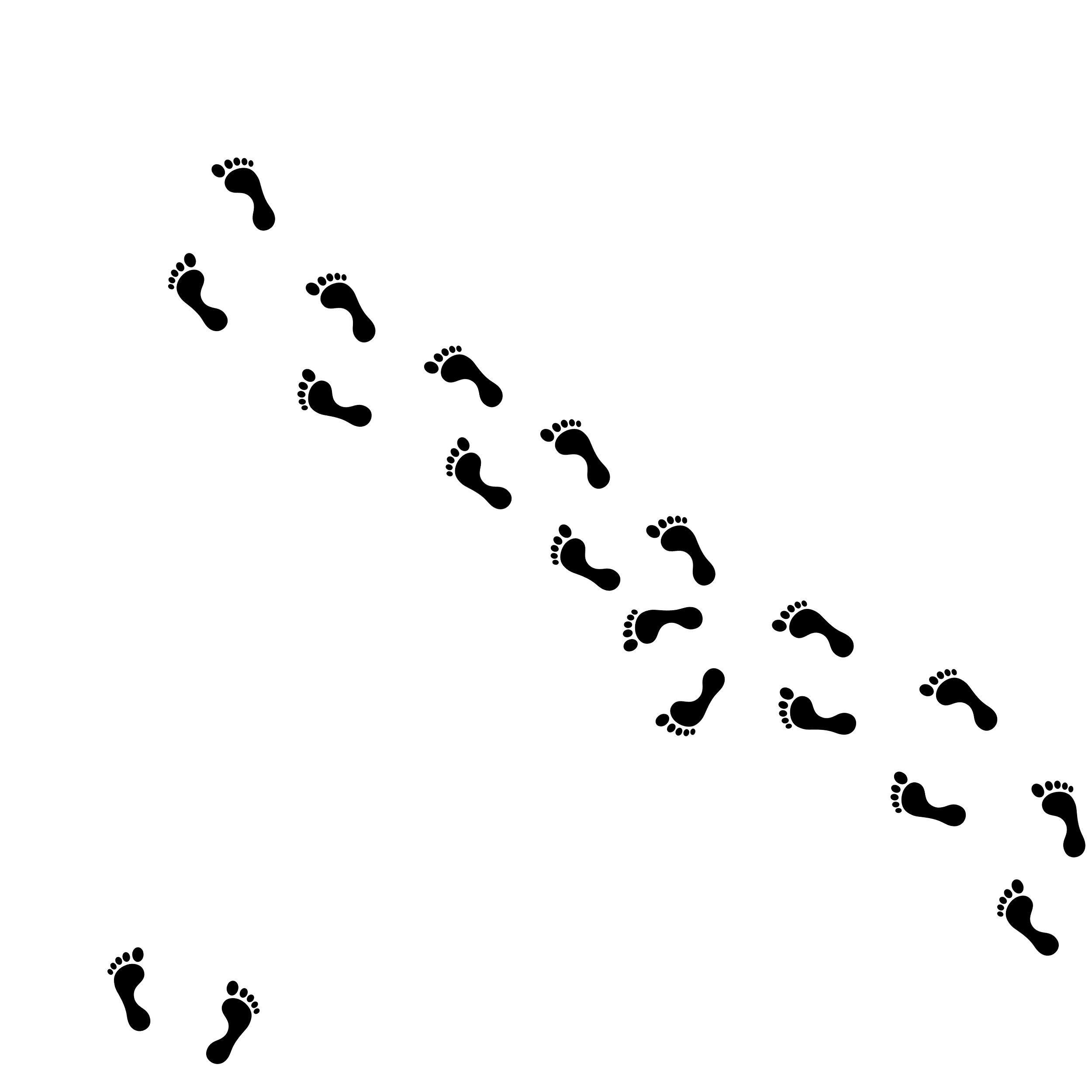 Multiple black footprints on a white background, forming a diagonal trail.