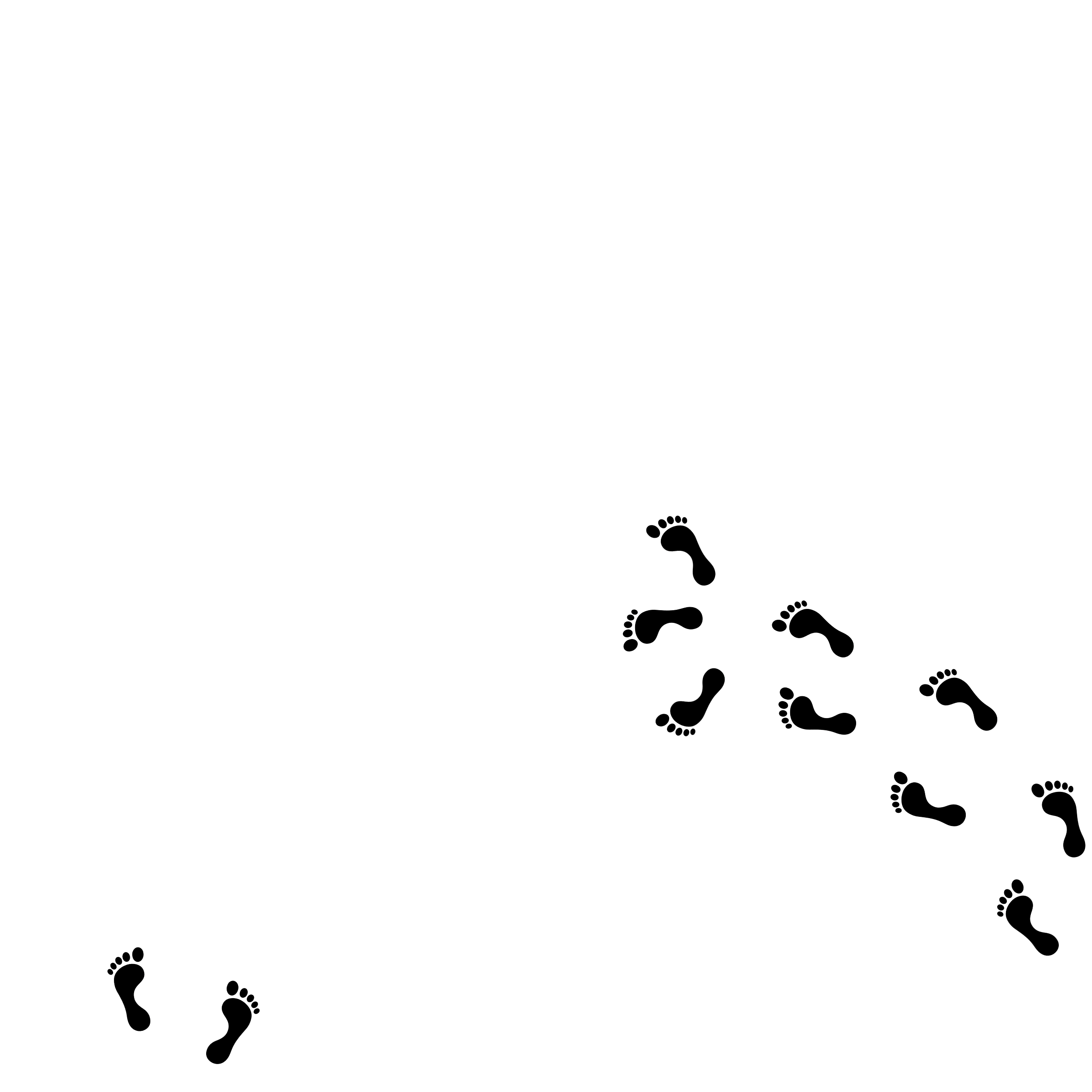 A trail of black footprints on a white background.