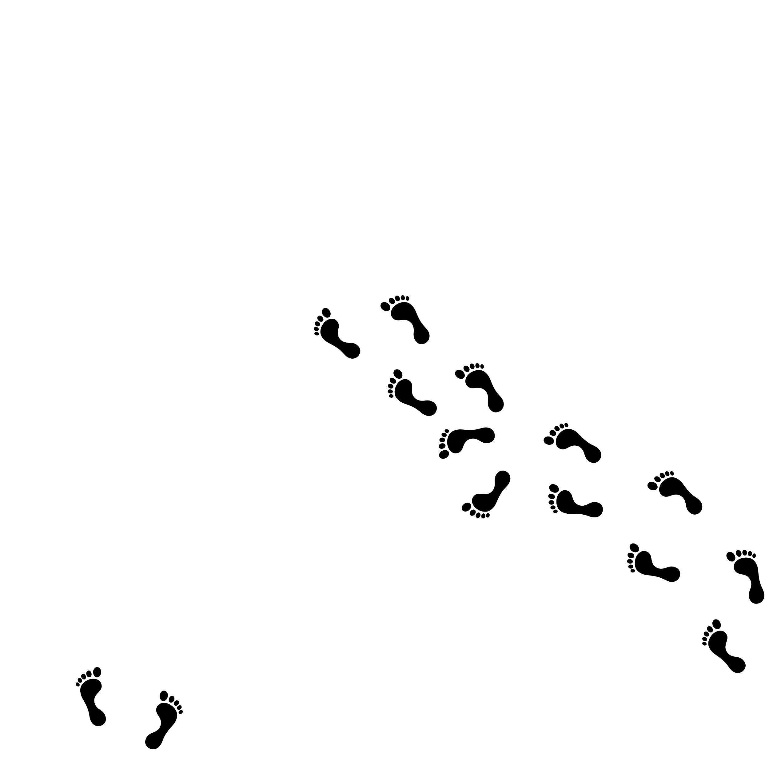 Black footprints on a white background.