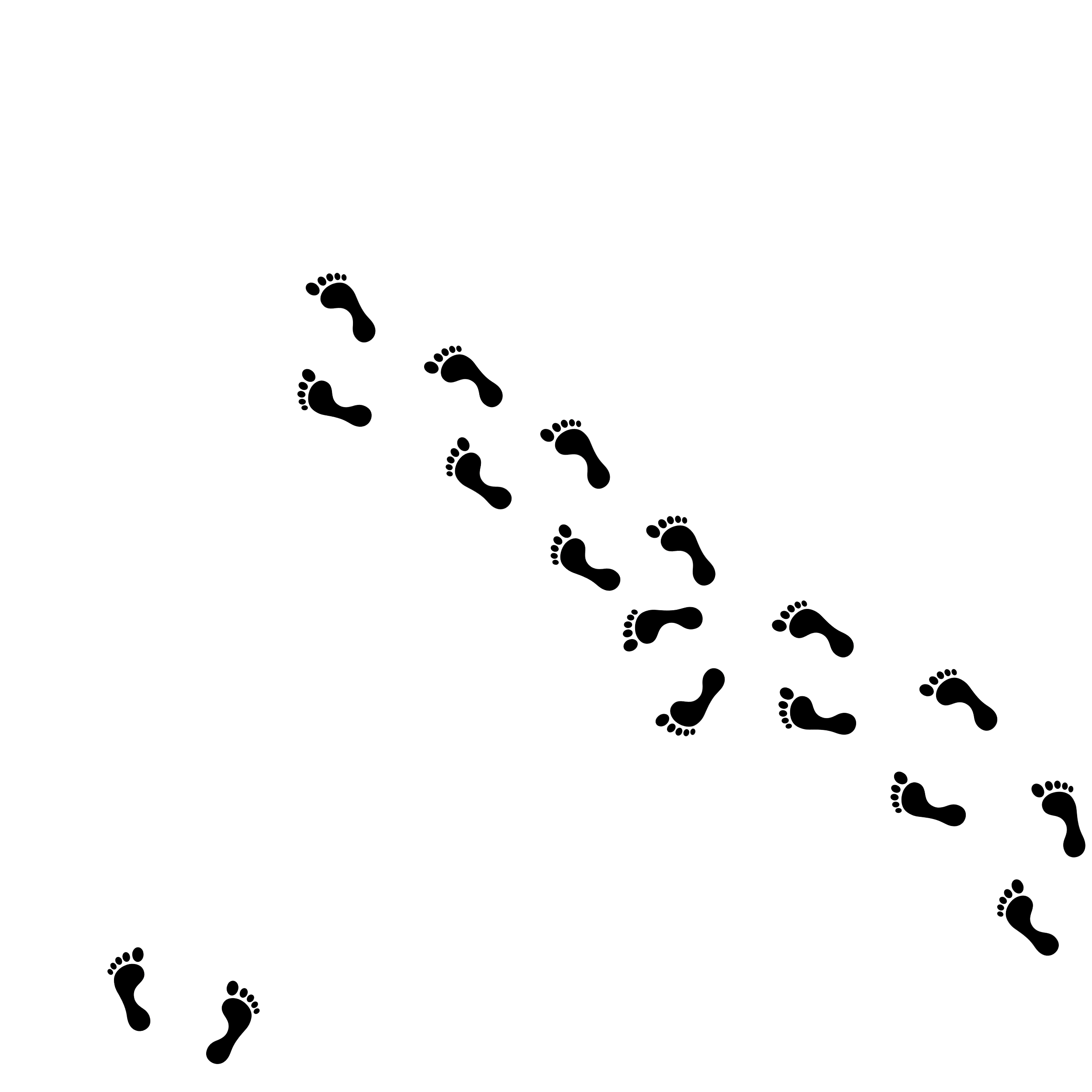 Black footprints scattered across a white background.