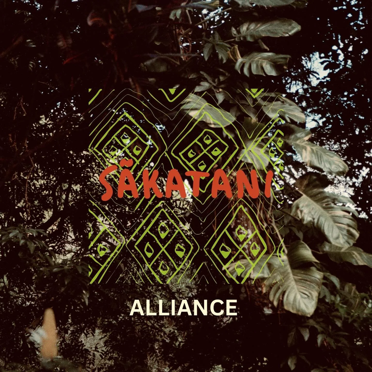 A Alian&ccedil;a S&atilde;katani &eacute; um movimento que constr&oacute;i pontes entre a comunidade ind&iacute;gena local da Amaz&ocirc;nia no Brasil, e oferece aos viajantes a oportunidade de vivenciar a vida e a cultura tradicionais, ao mesmo temp