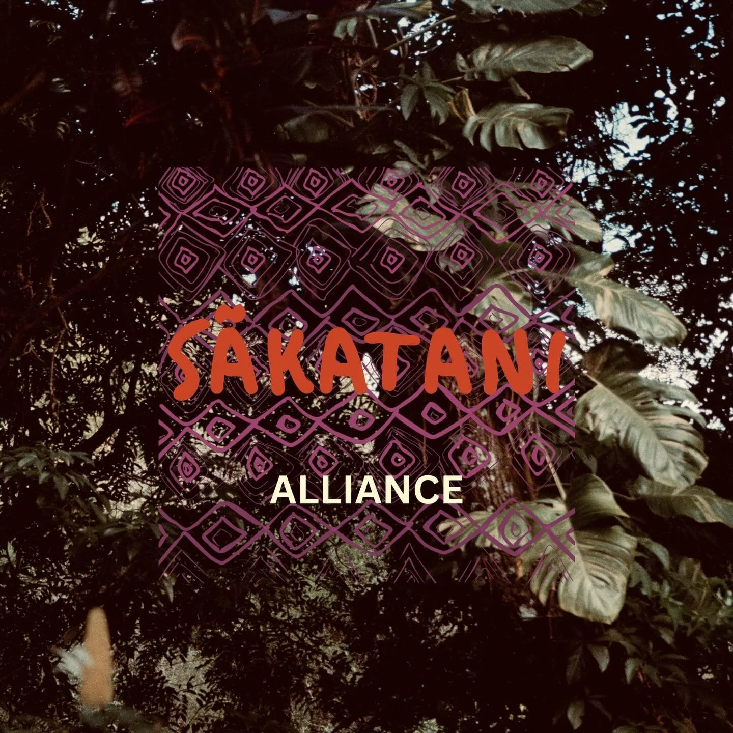 Sakatani Alliance is a movement that builds bridges between the local indigenous community and offers travelers the opportunity to experience traditional life and culture, while supporting eco-friendly and sustainable projects and community led initi