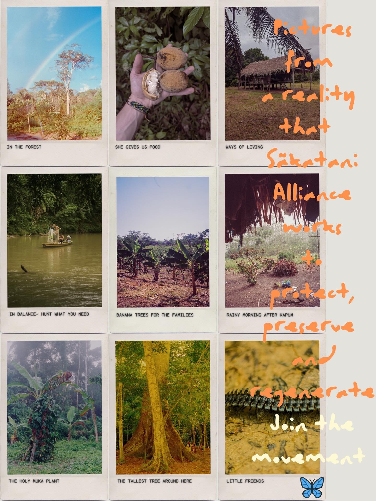 Pictures from a reality that  S&atilde;katani Alliance want to protect, preserve and regenerate. 
Join the movement 🦋