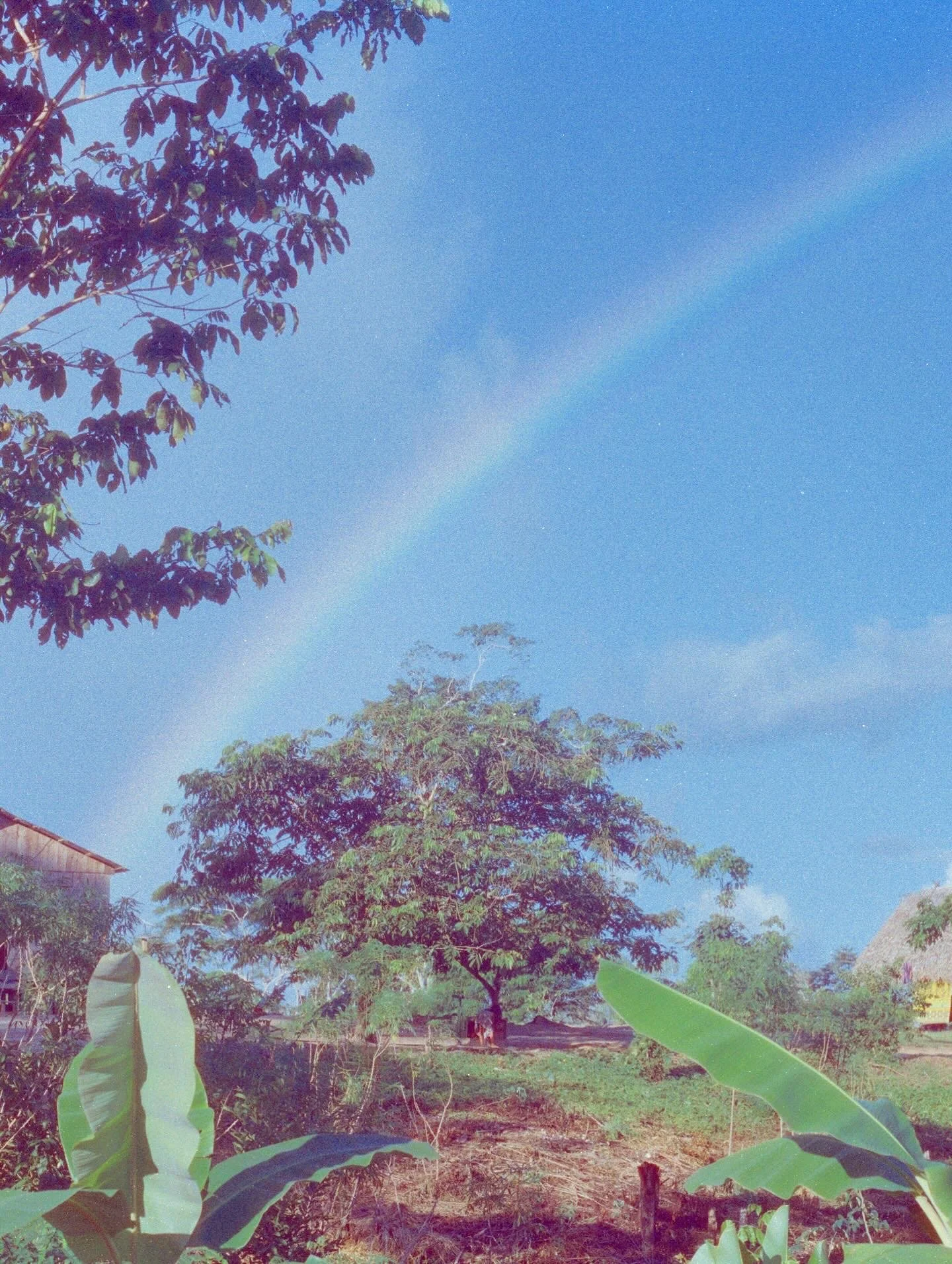 Immersion Txana, 2026, Ni Yuxibu village, with the Huni Kuin people, Jordão, Brazil, Amazon.