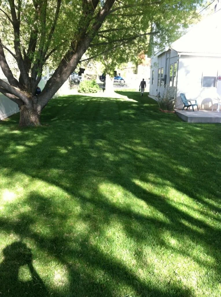 Recent projects in Durango, CO