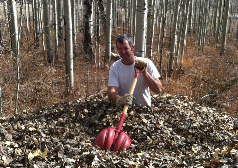 Leaves still falling