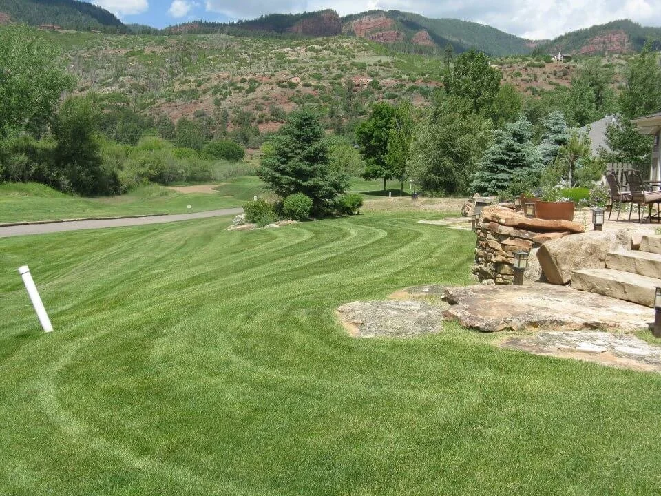 Customized Yard Maintenance Plans By AVL