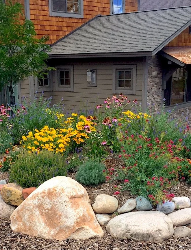 front yard with yellow and purple flowers in Bayfields after Bayfield Lawn Mowing & Lawn Maintenance for HOAs & Apartments by AVL