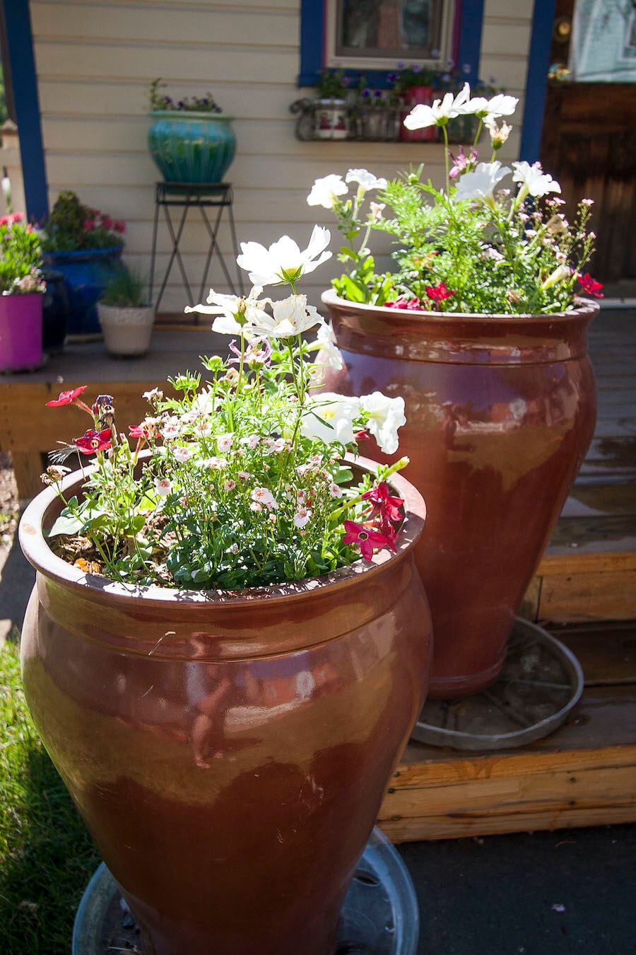 Two large brown ceramic pots filled with blooming flowers on a wooden deck outside a house.