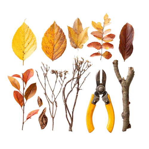 colored leaves for spring and fall clean up lawn maintenance services durango