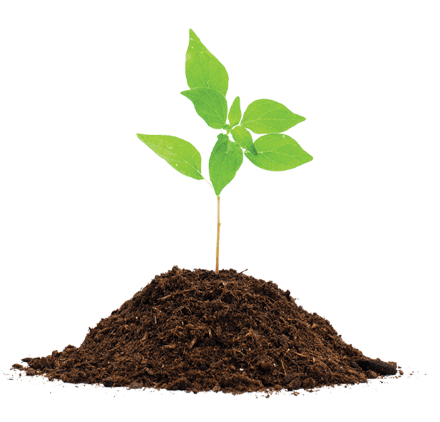 durango lawn mowing and lawn maintenance services