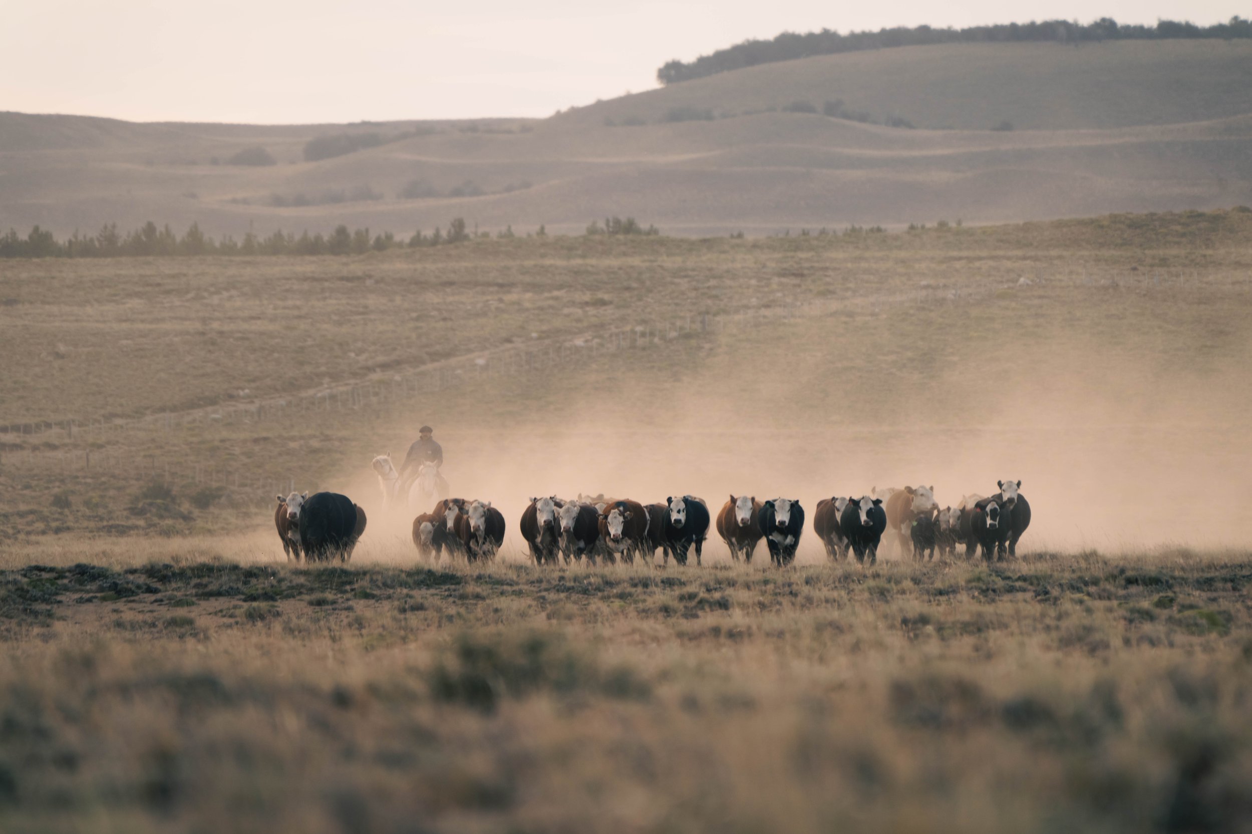 Emily Rodgers-EEFF-08664.jpg