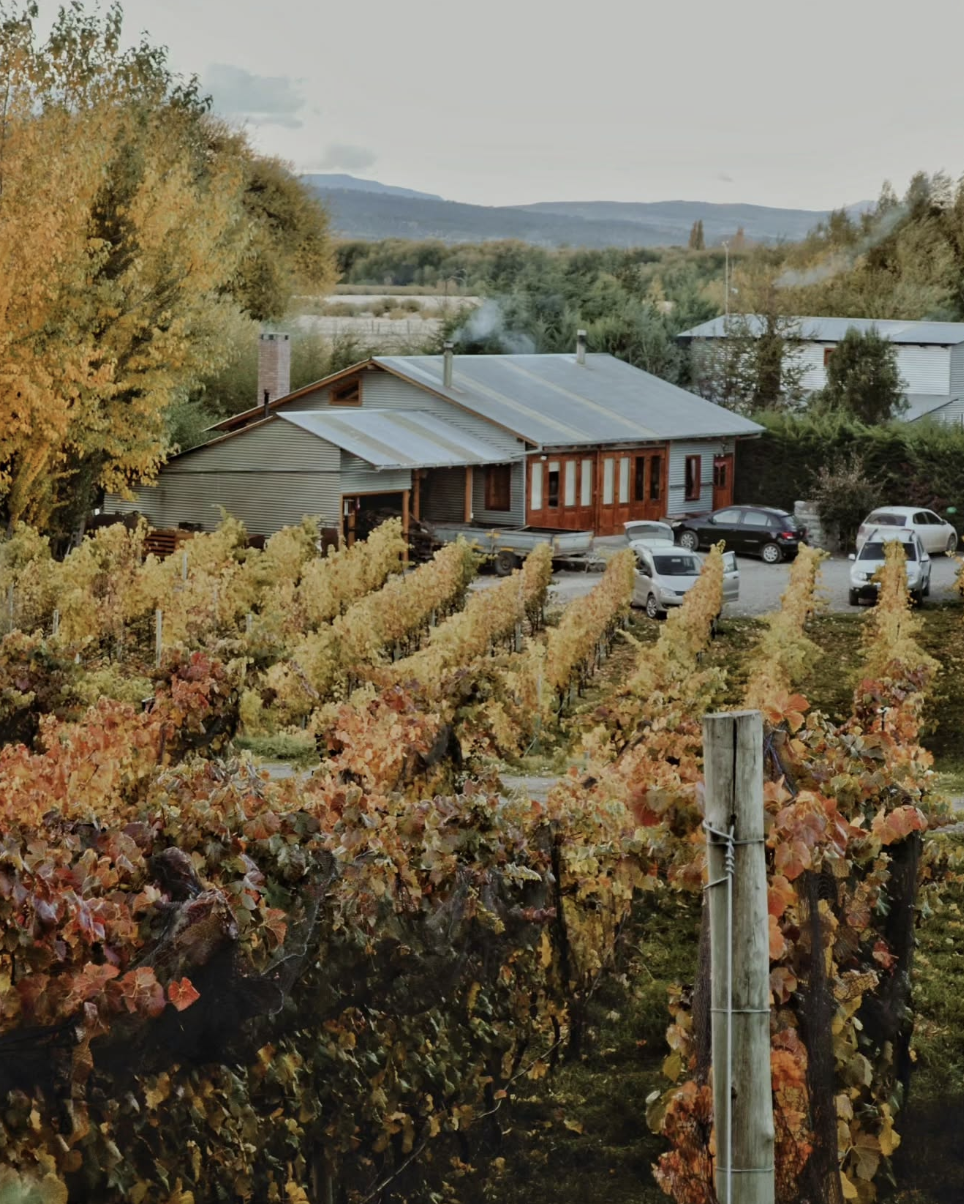 Captura de pantalla 2026-02-05 a la(s) 4.09.32 p. m..png