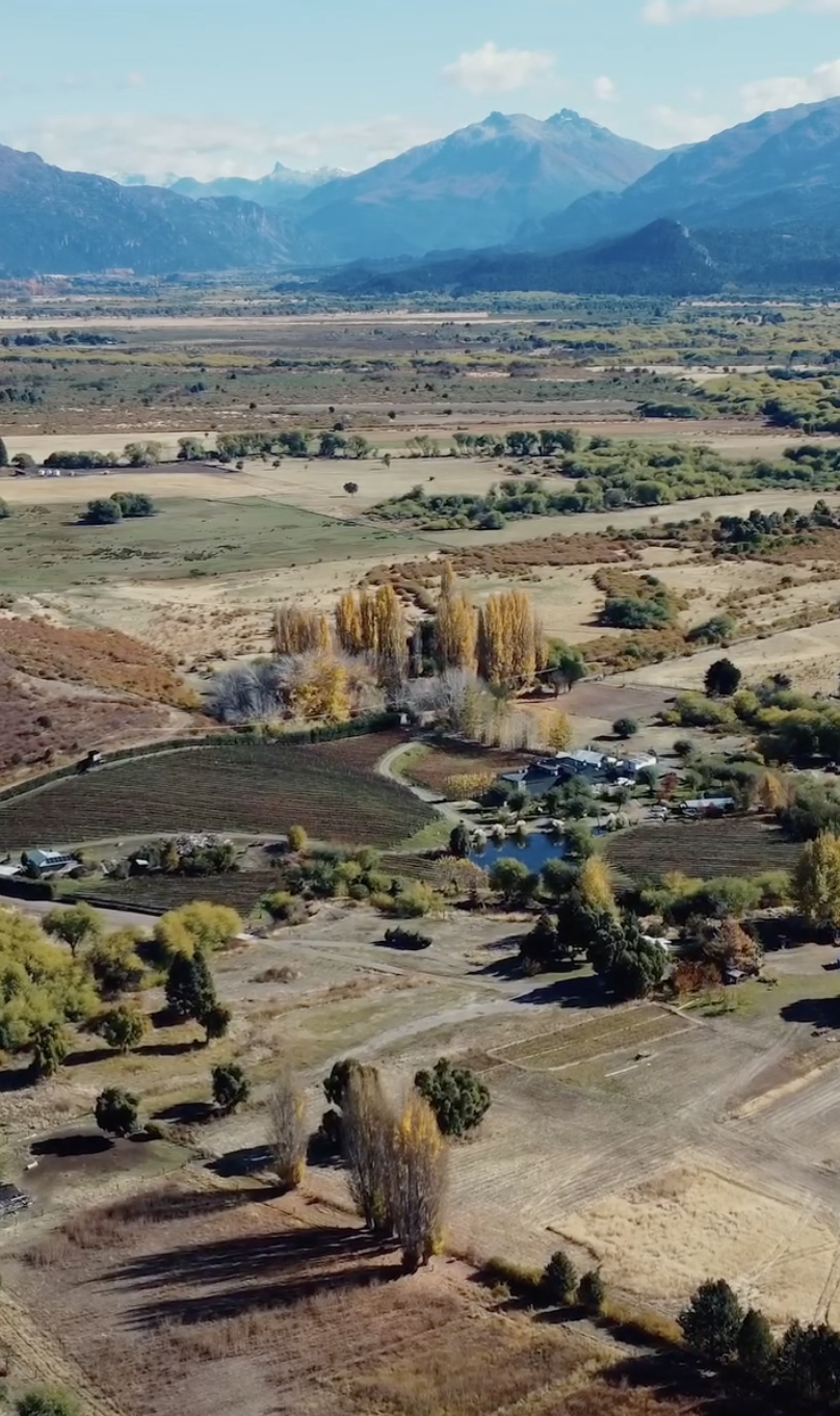 Captura de pantalla 2026-02-05 a la(s) 4.08.35 p. m..png