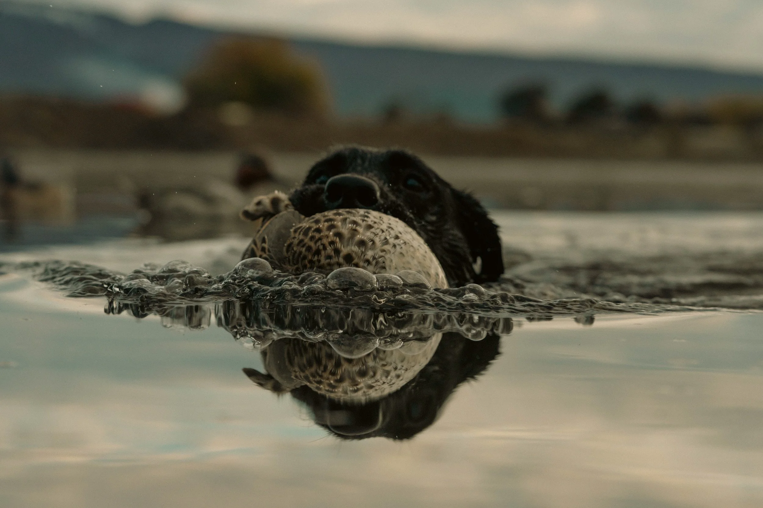 horizontal -00534.jpg