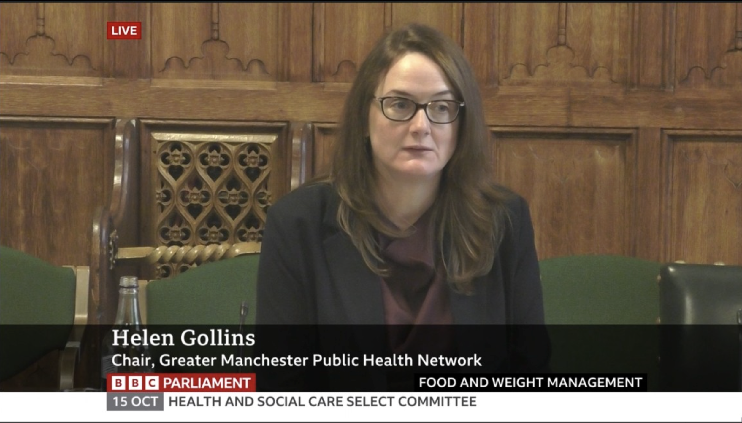 Helen Gollins gives evidence to Parliament&nbsp;