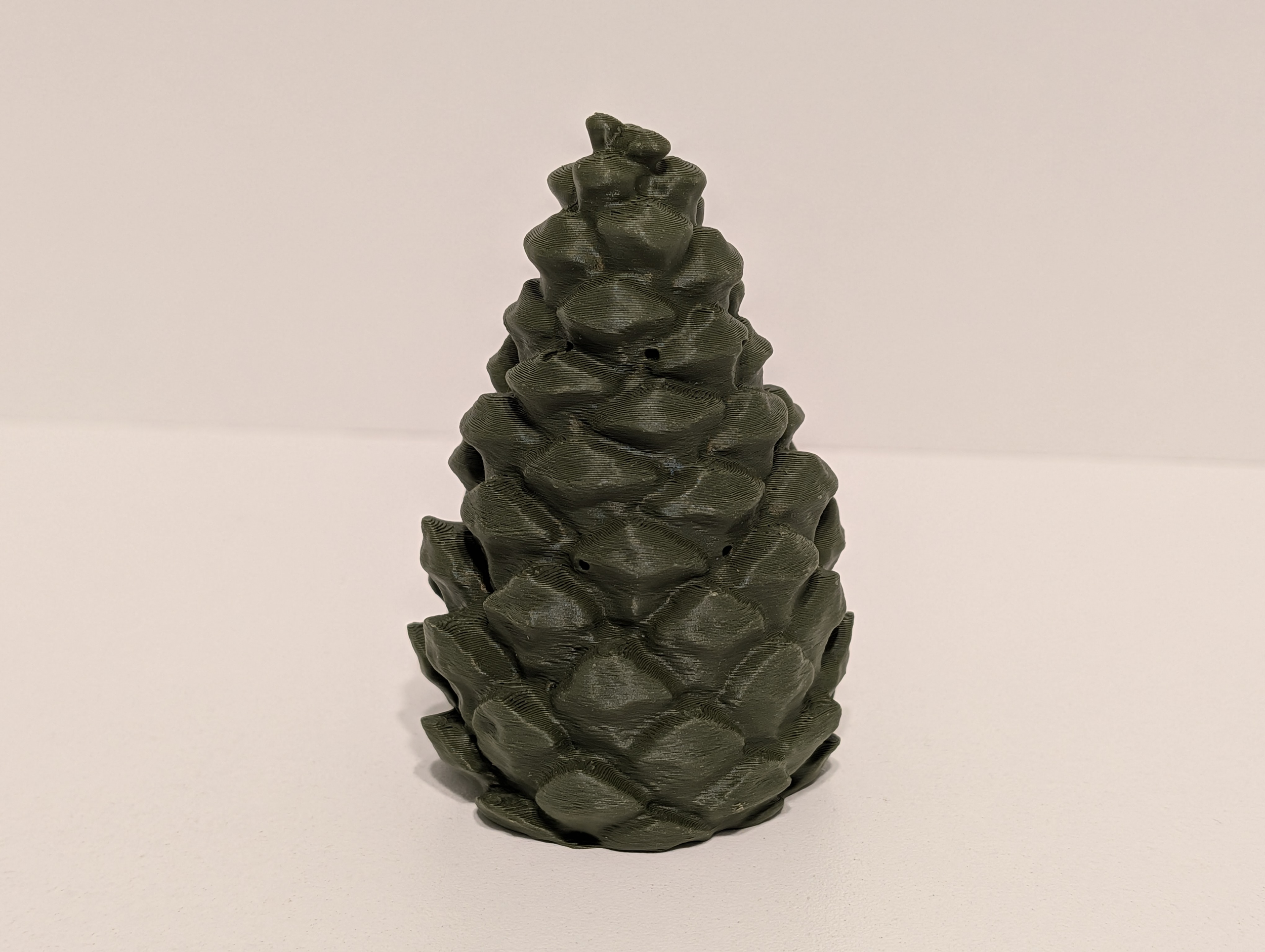 Pine Cone