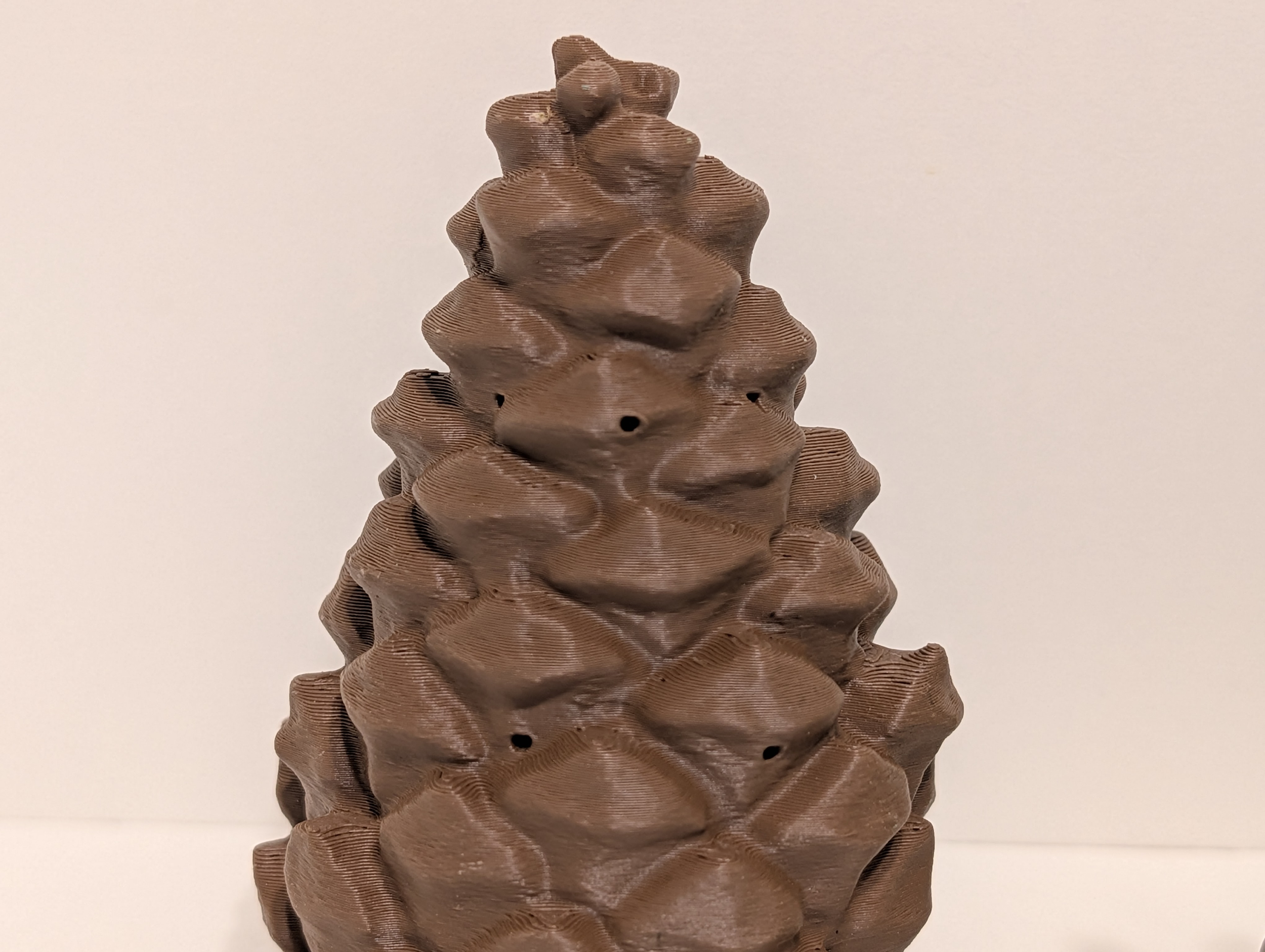Pine Cone