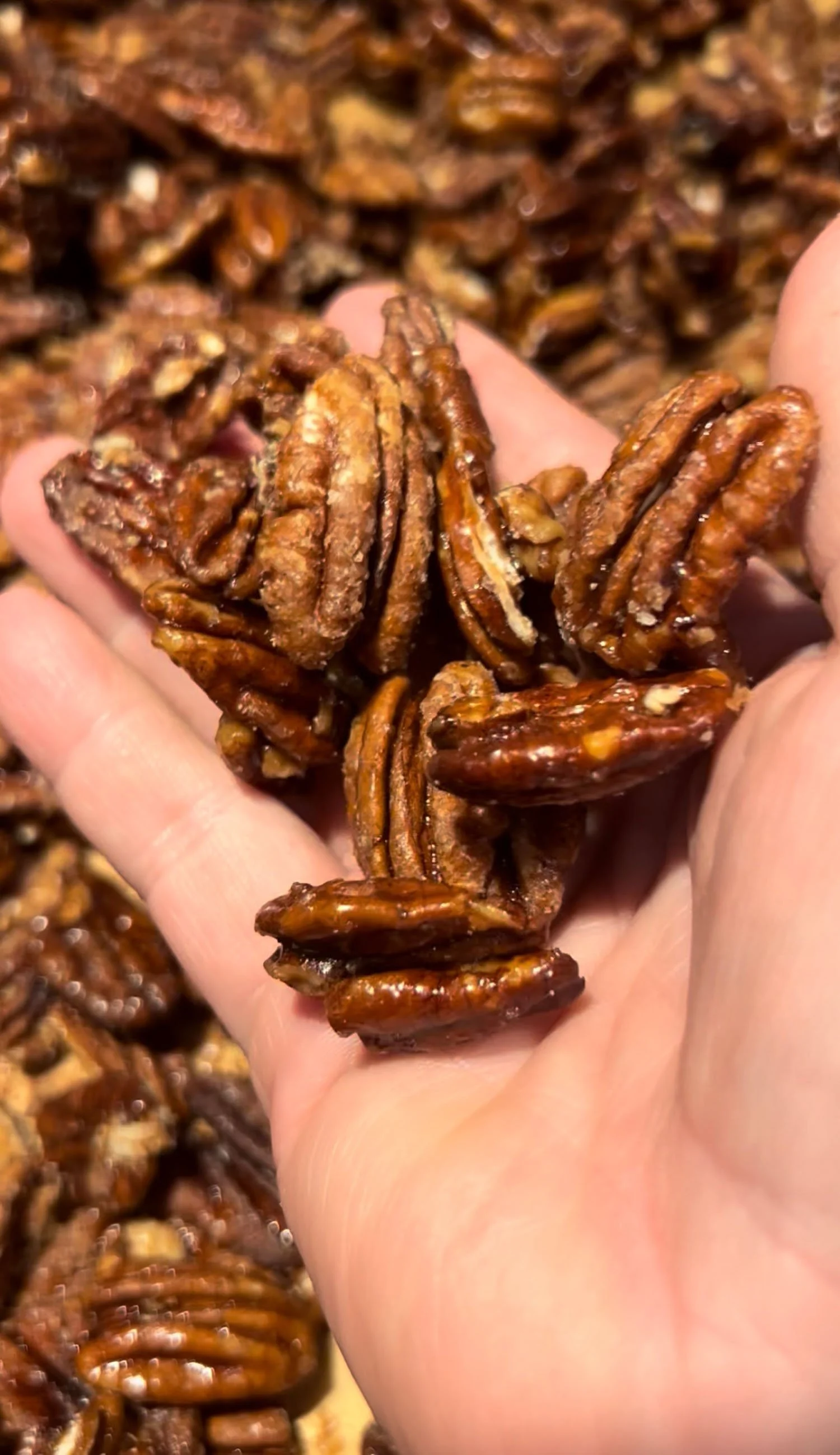 Maple Pecans 5.jpg