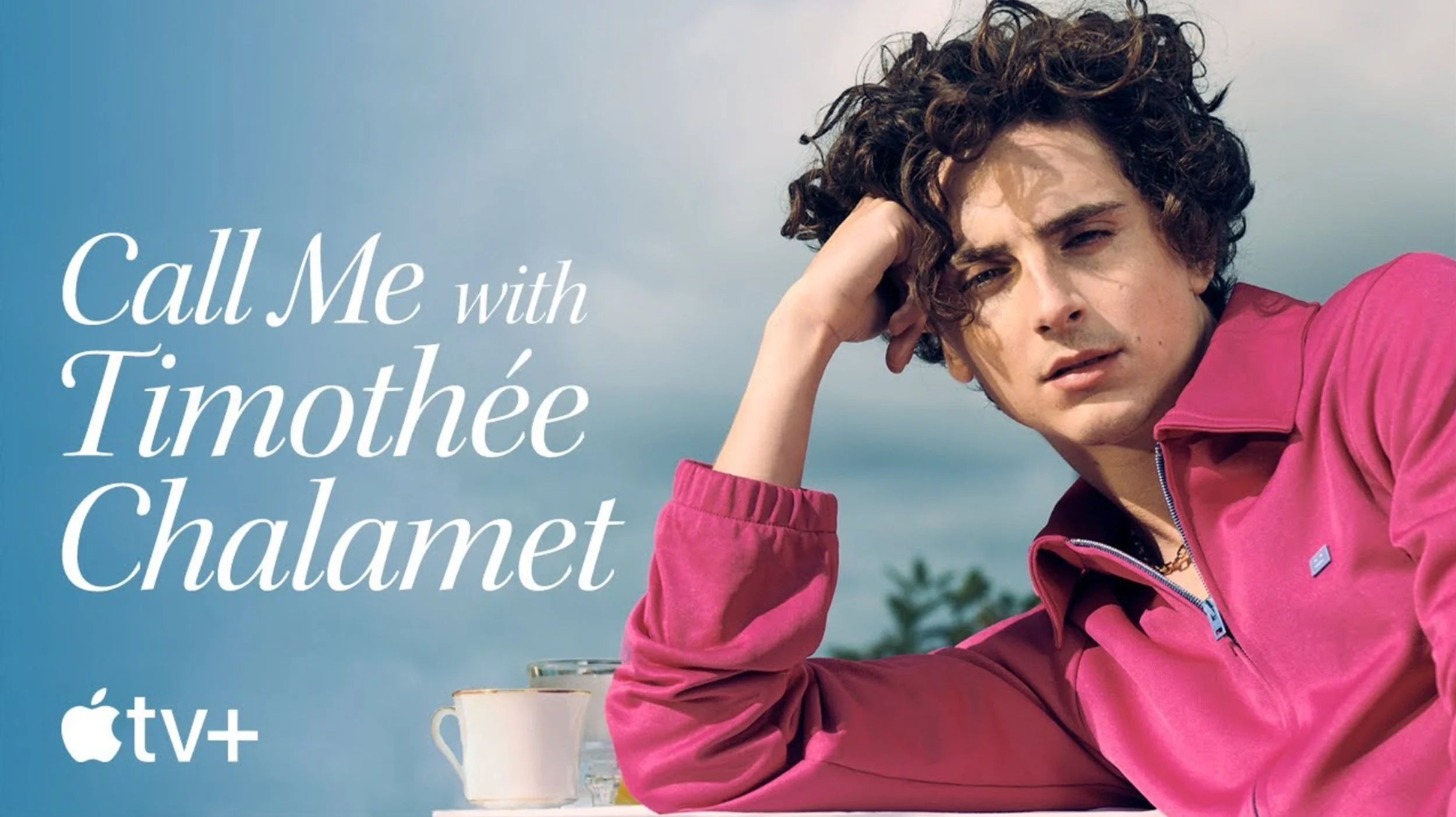 Call Me with Timothee Chalamet.jpg