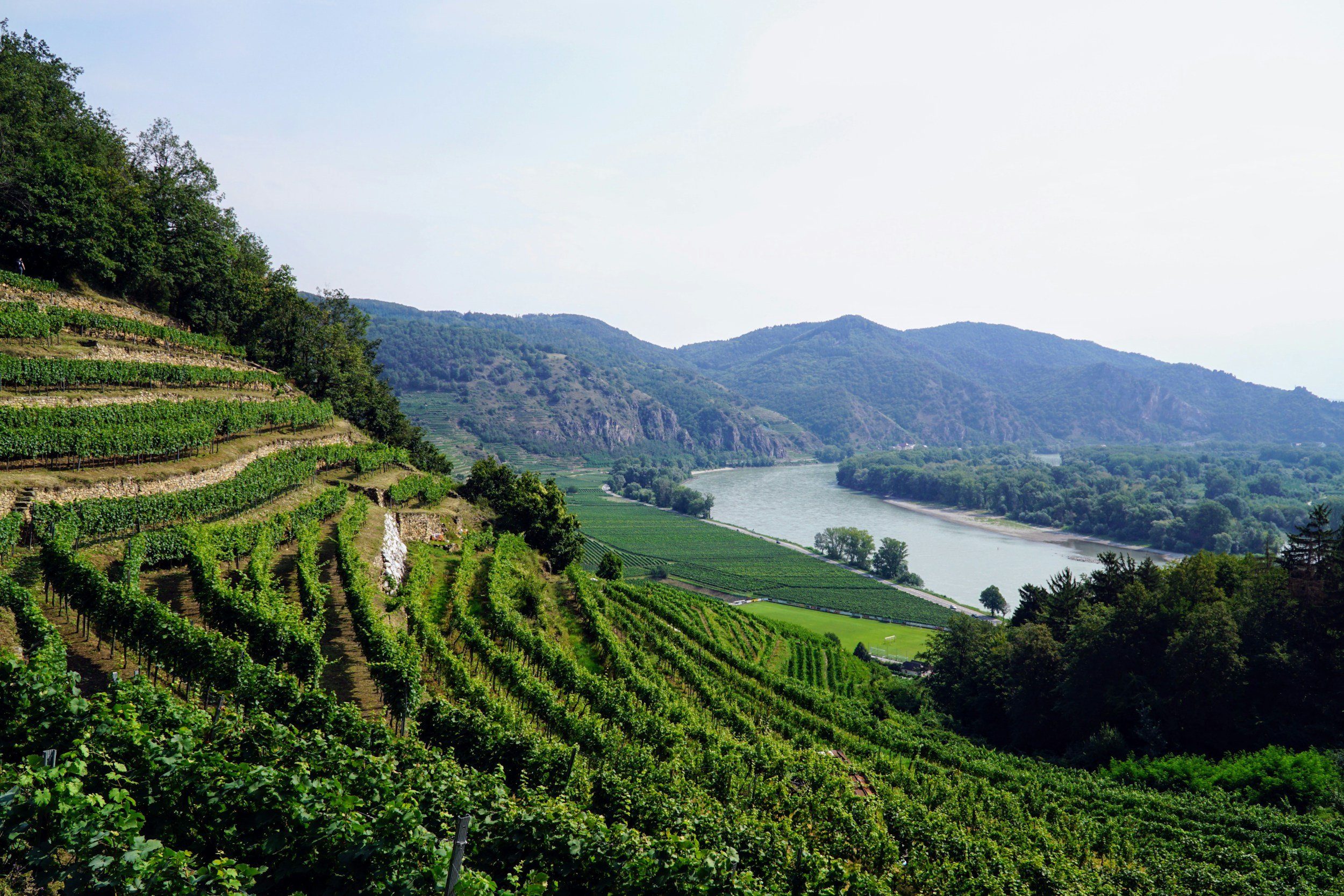Wachau ( 8 h )
