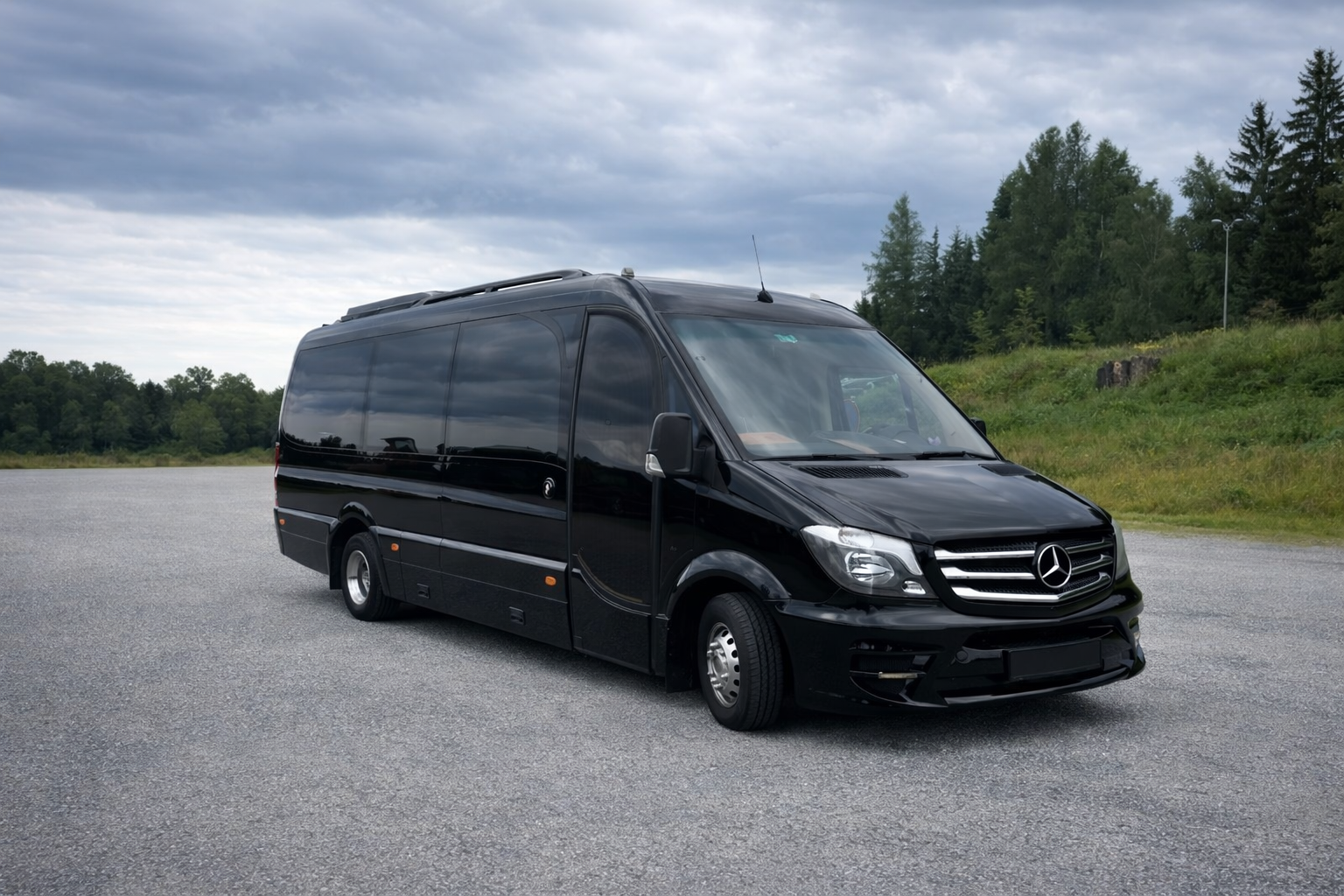 Sprinter2 vorne links.png