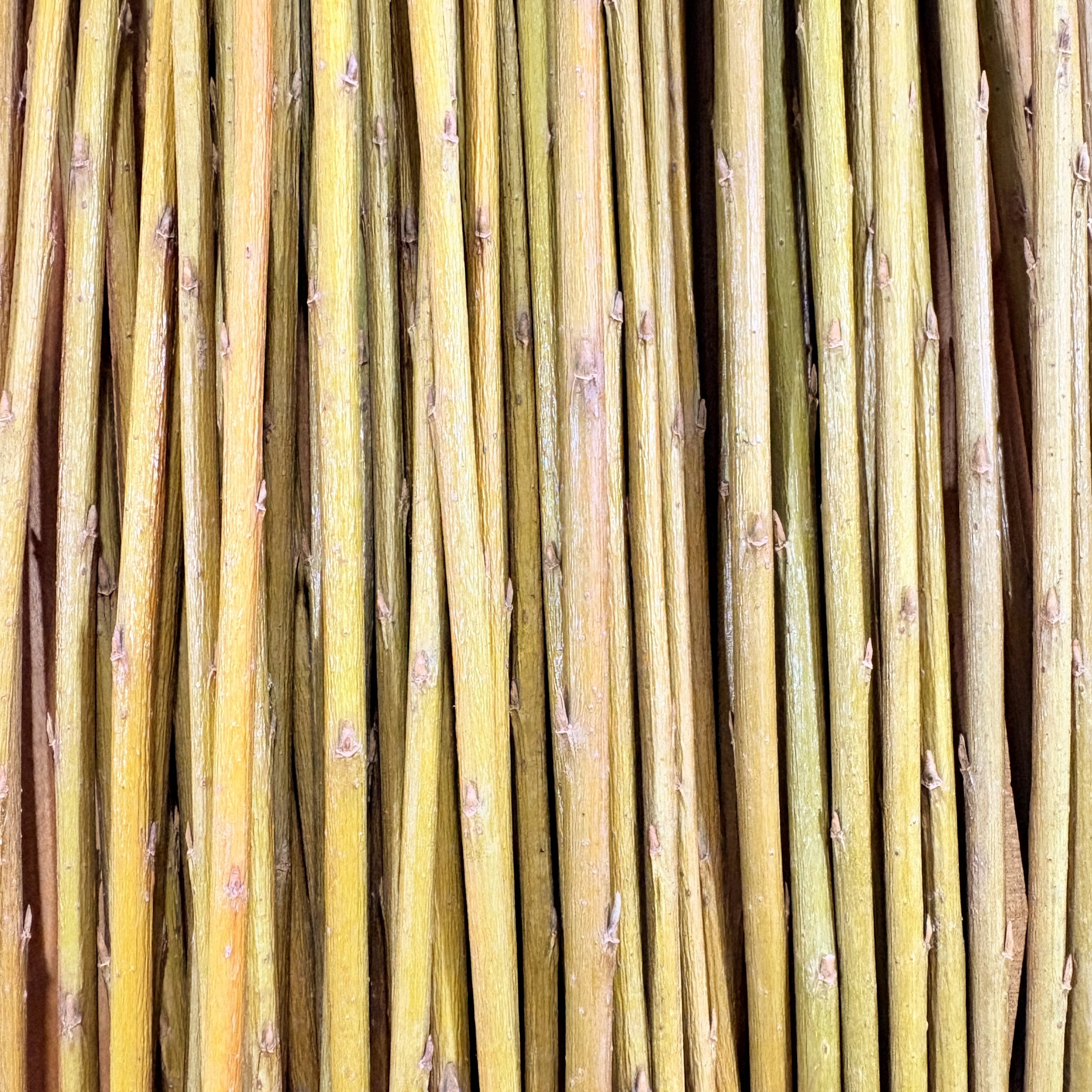 Irette Dried Willow Rods