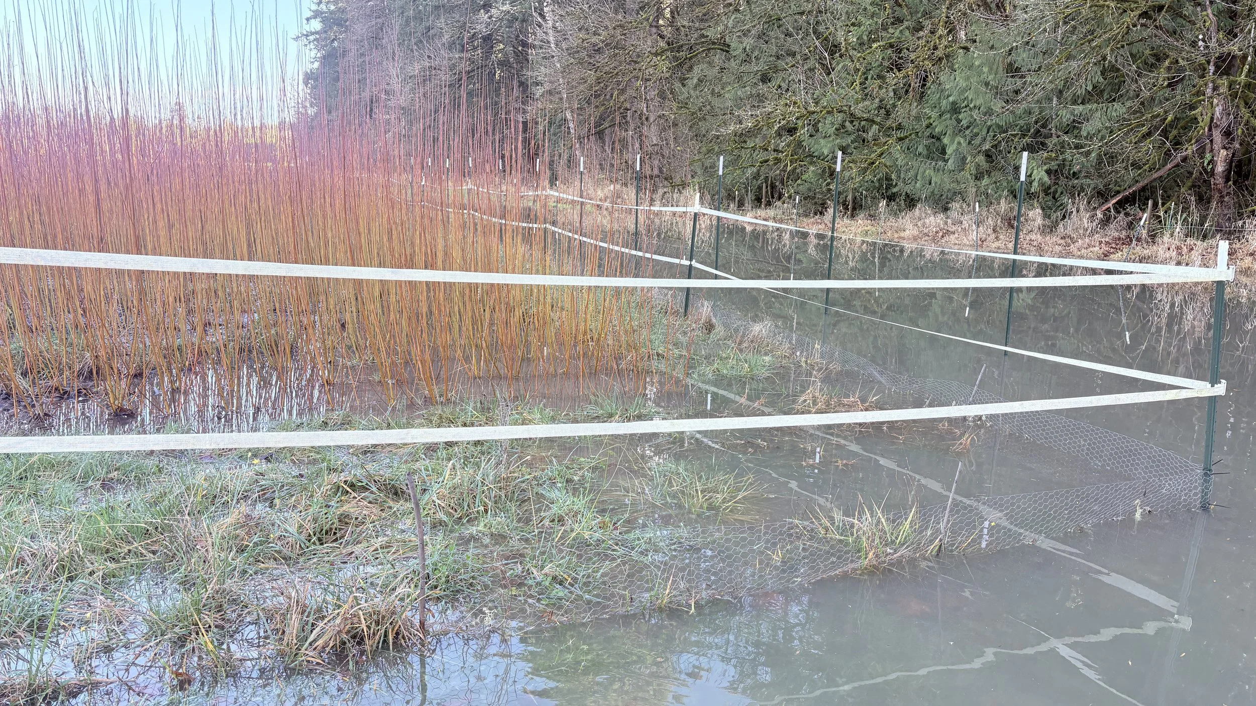 December &amp; the Atmospheric River