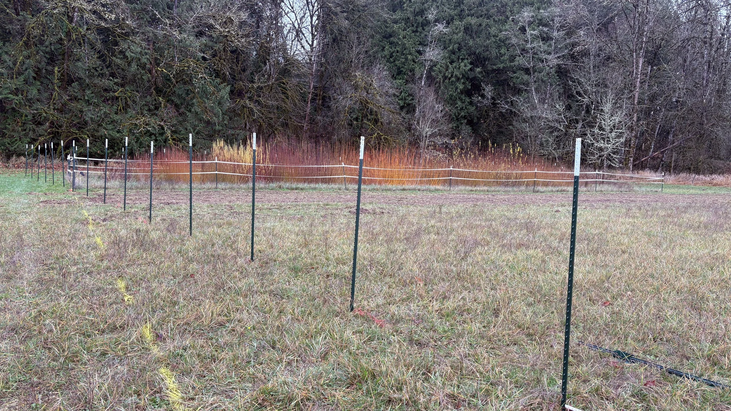 November is for Fencing