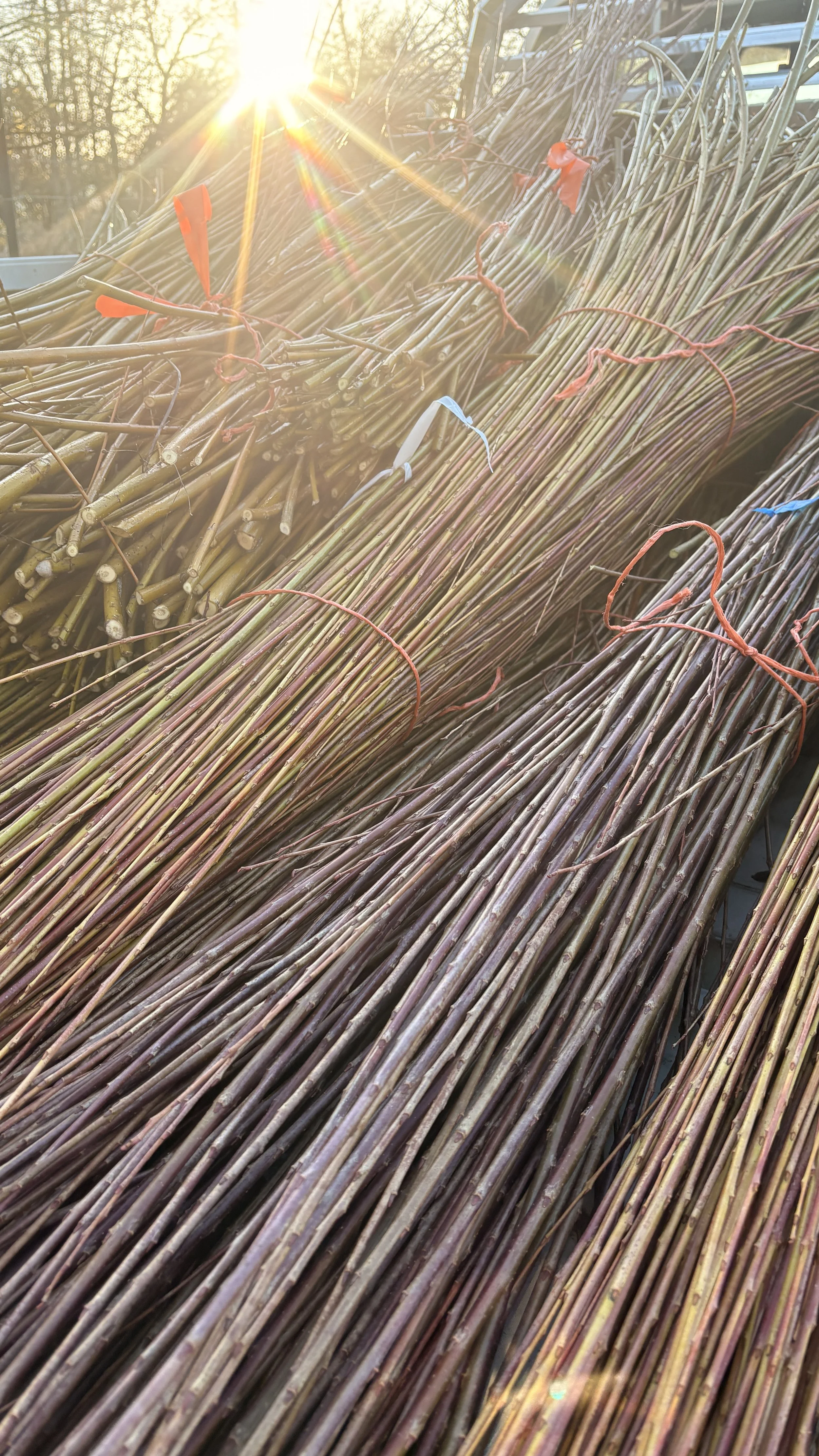 Loading up the Truck