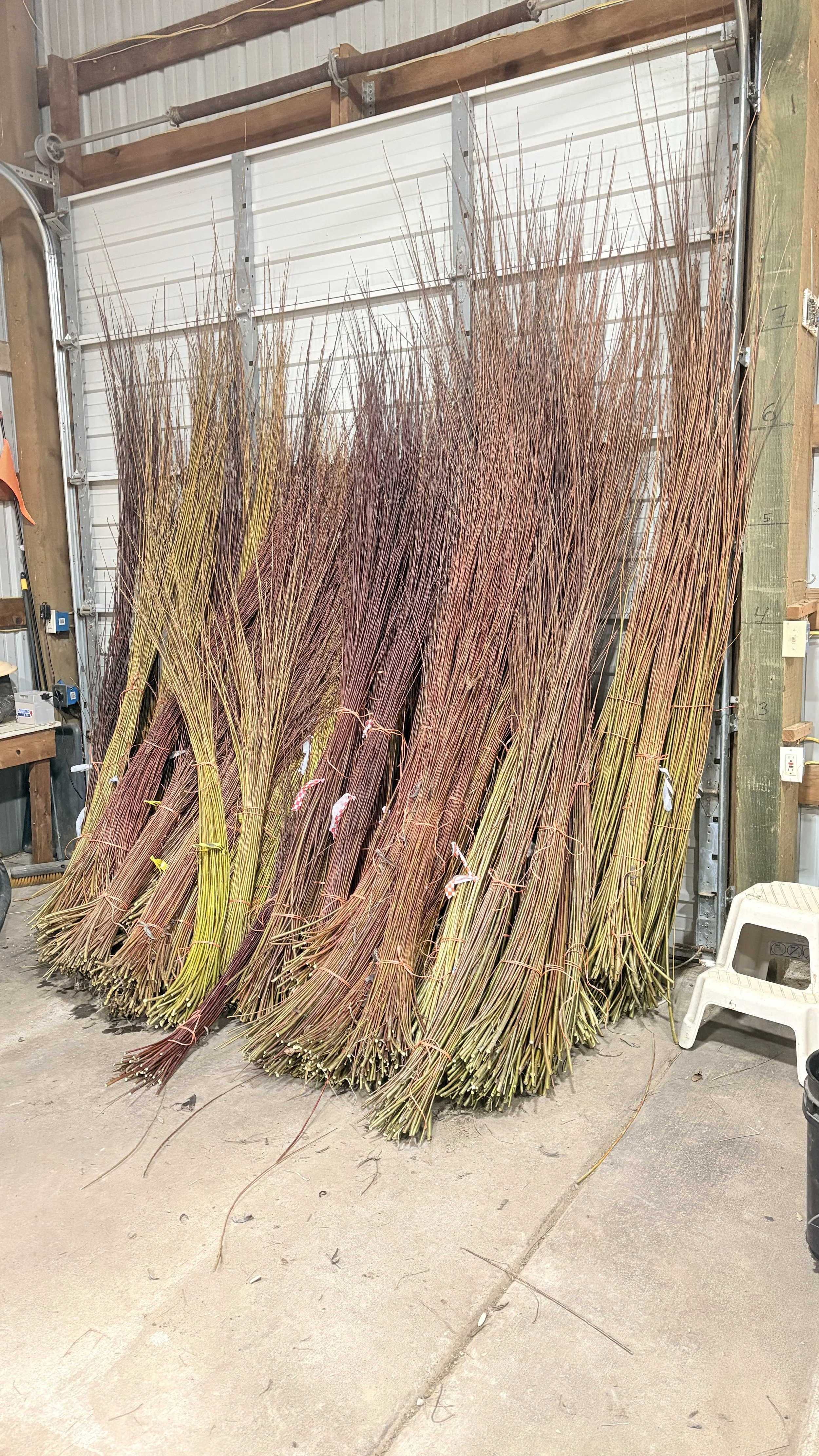 Lots of Sorting for the Day