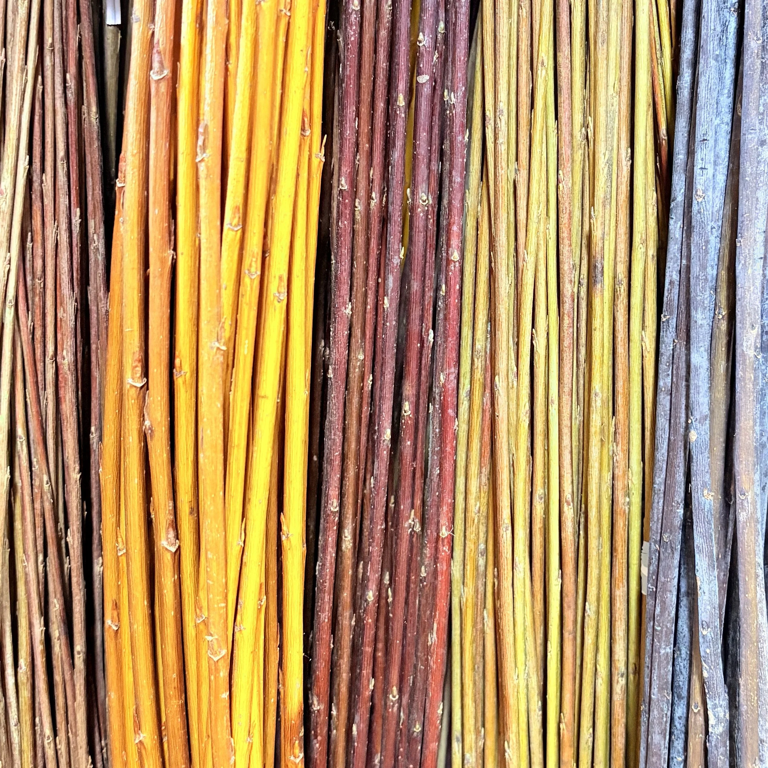 Variety of Colors of Basketry Willow.jpg