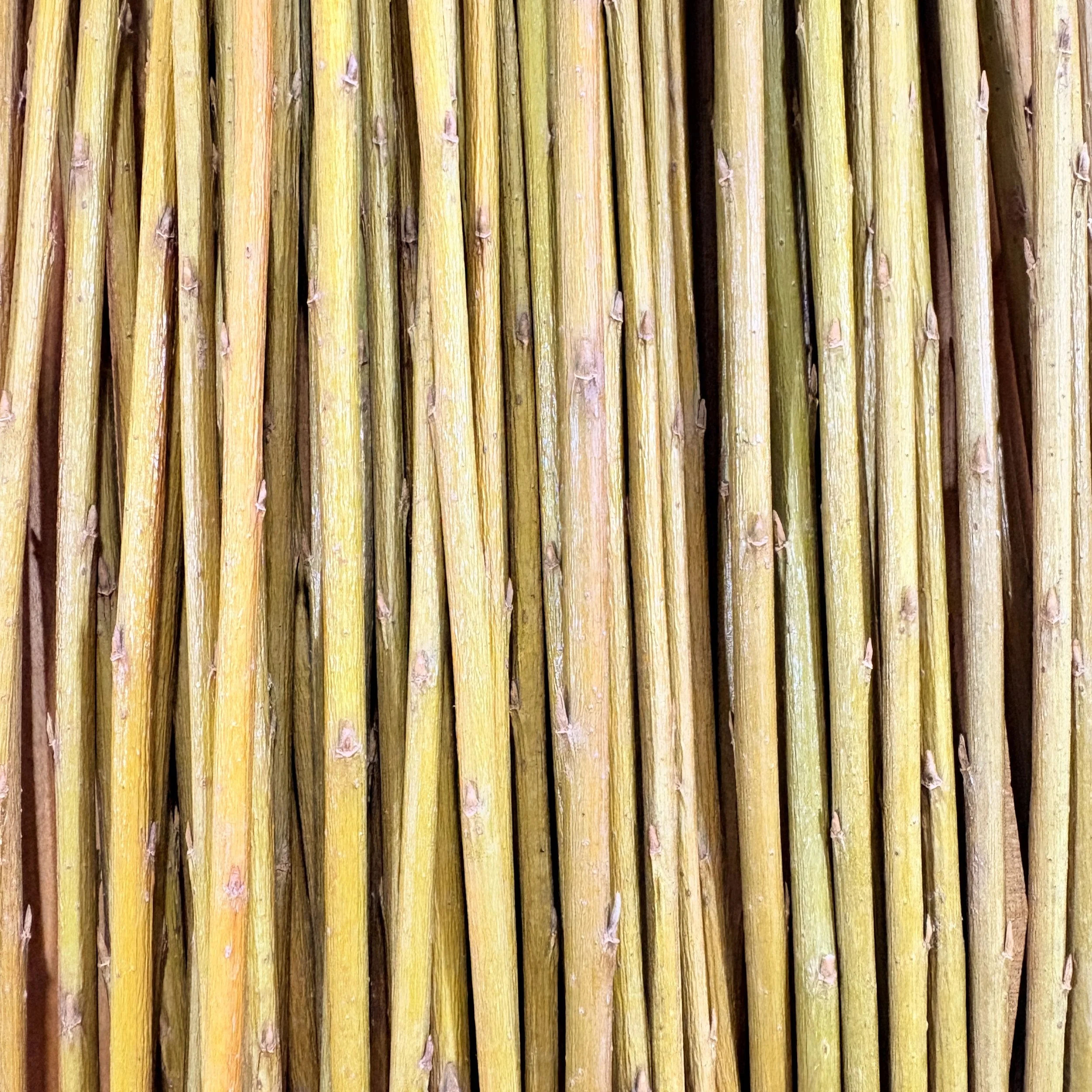 Irette Basketry Willow.jpg