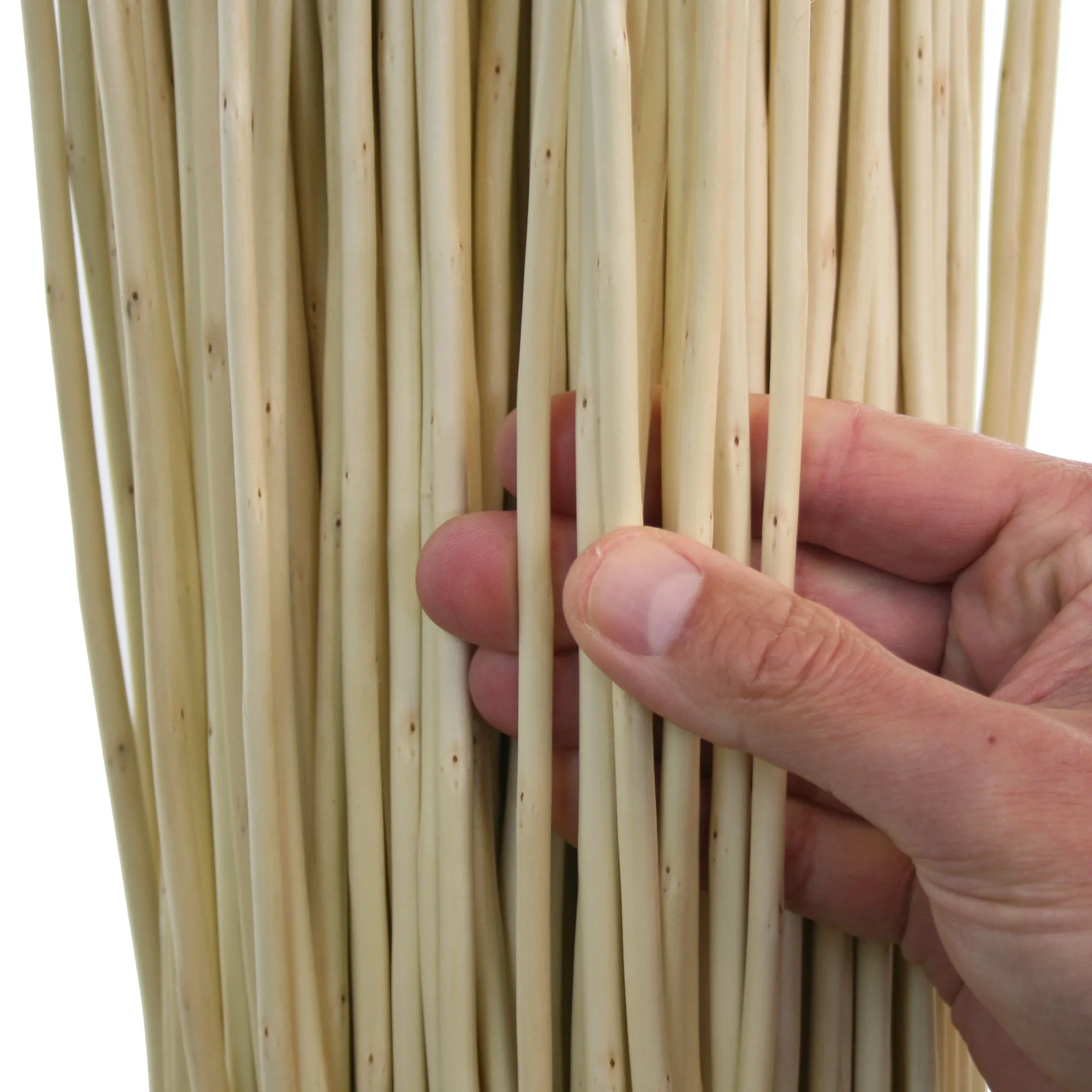 Musgrove Willows' Black Maul White Willow