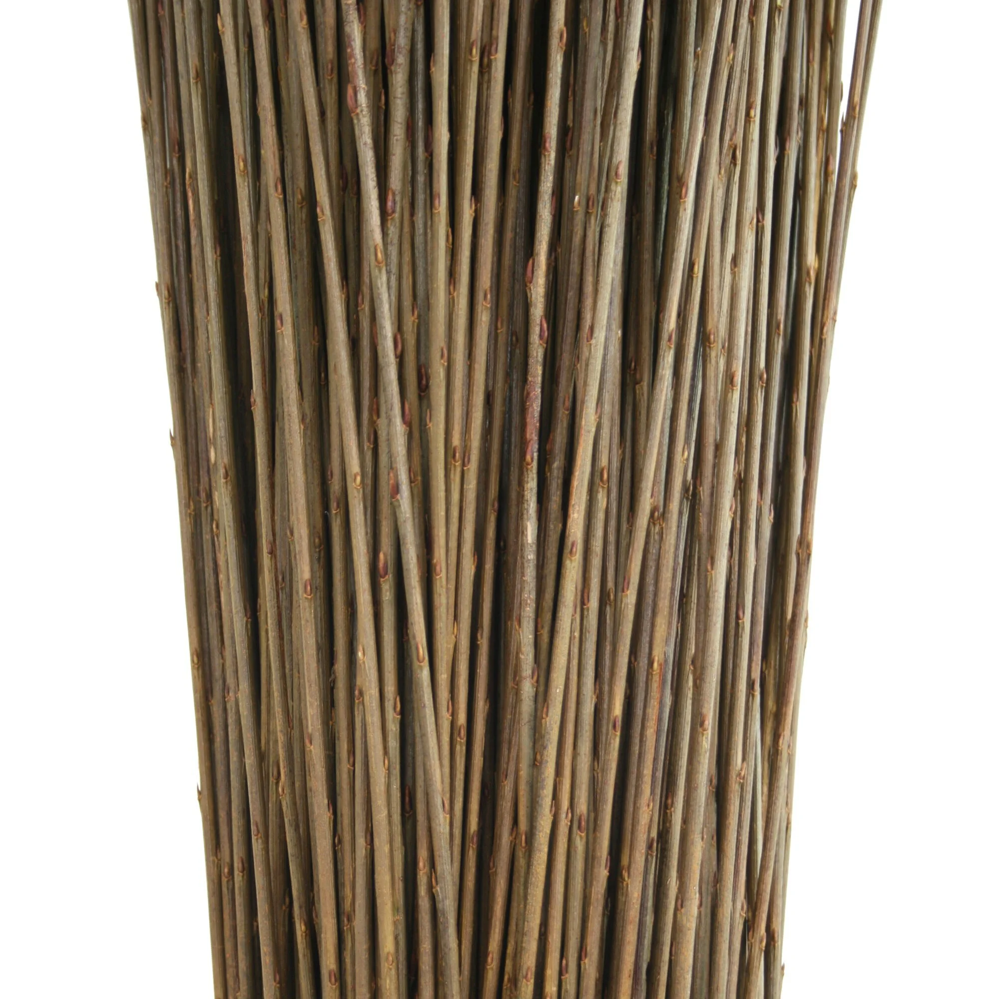 Musgrove Willows Brittany Green 02.jpg