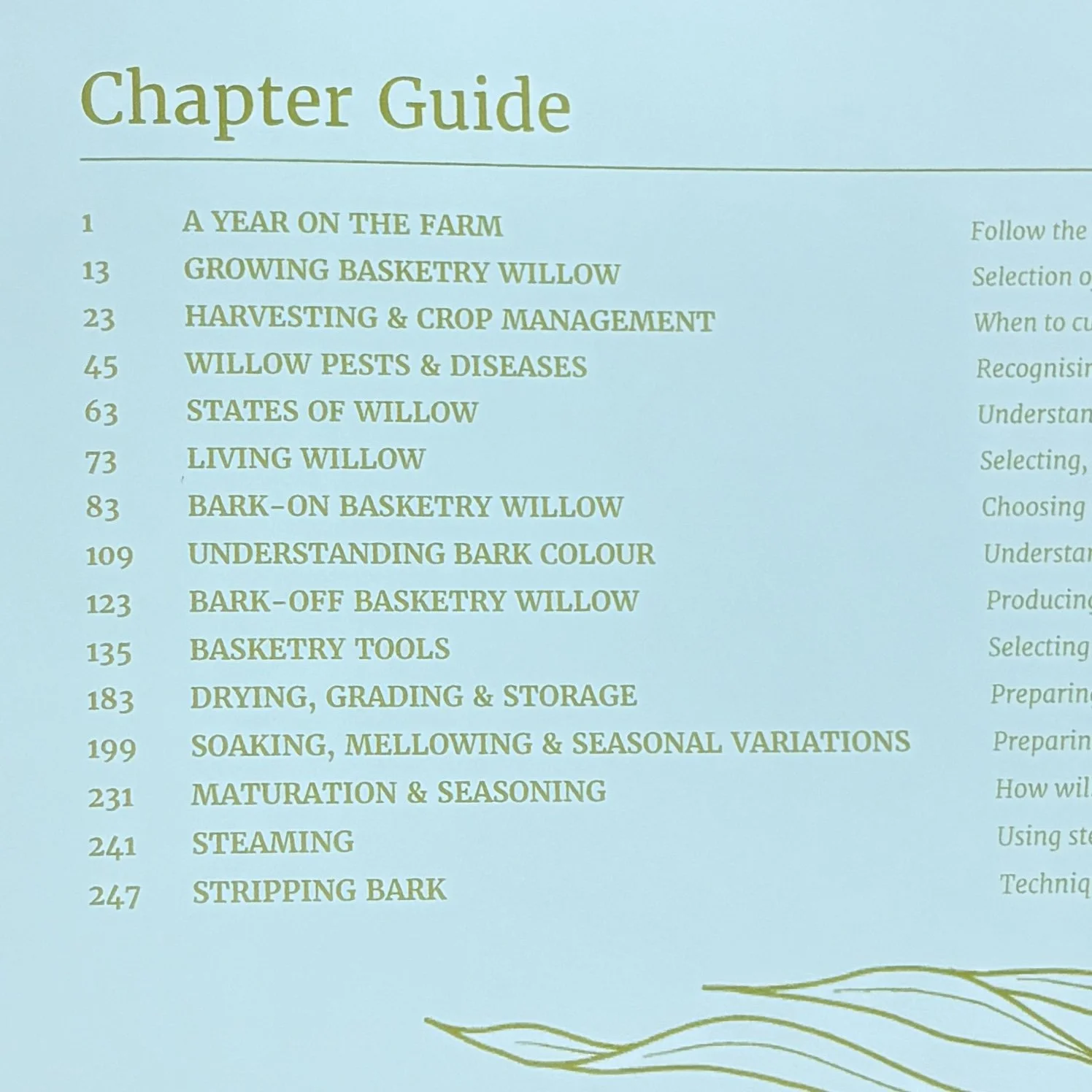 Willow to Weave Chapter Guide.jpg