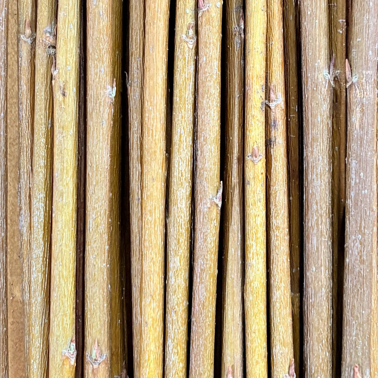 Belgium Red Dried Willow Rods
