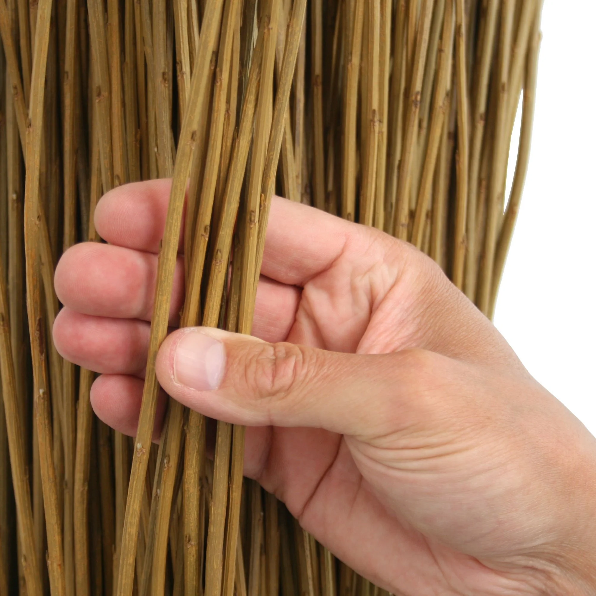 Musgrove Willows Old French 01.jpg