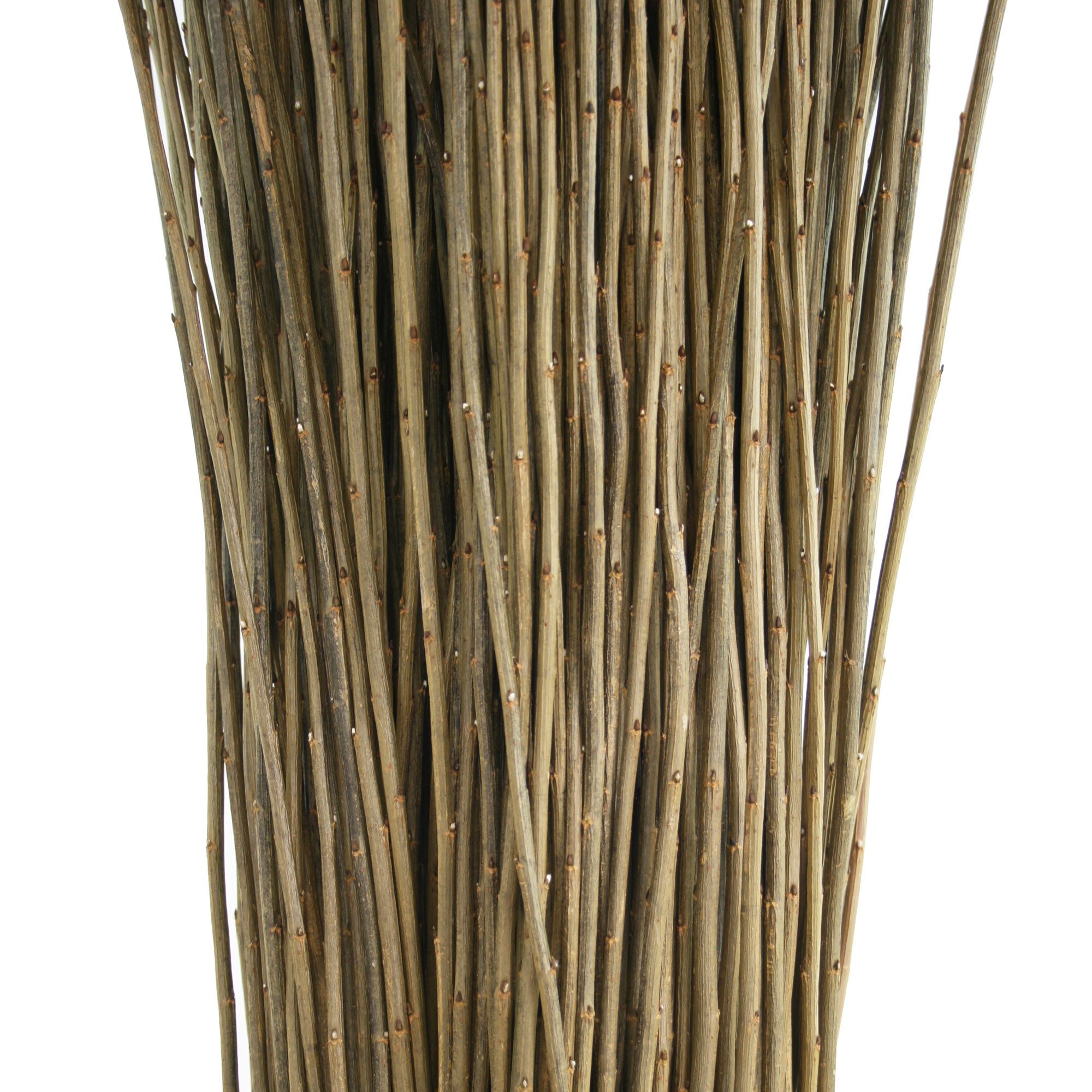 Musgrove Willow Black Maul 03.jpg