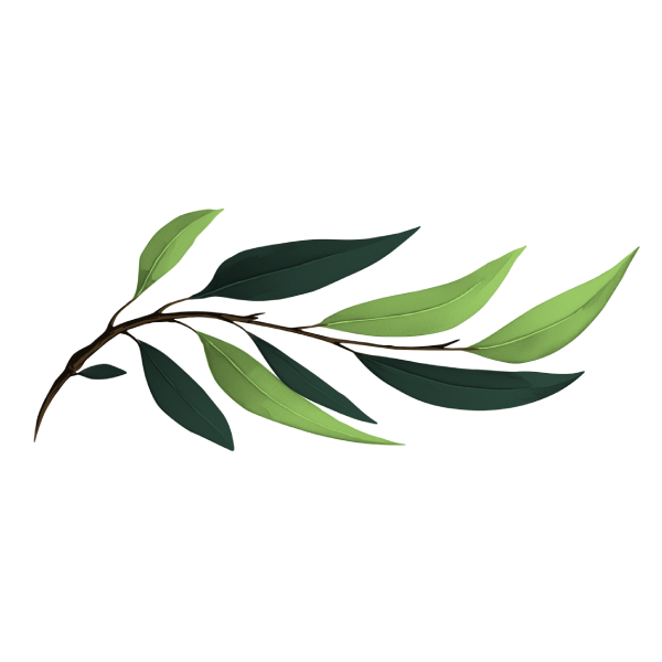 Northwest Willow Gift Card