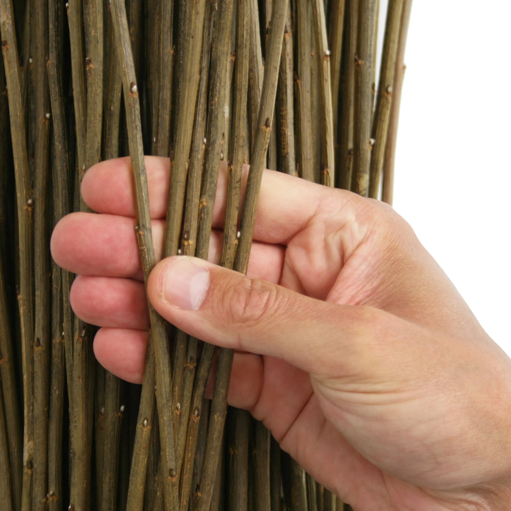 Musgrove Willow Black Maul 01.jpg