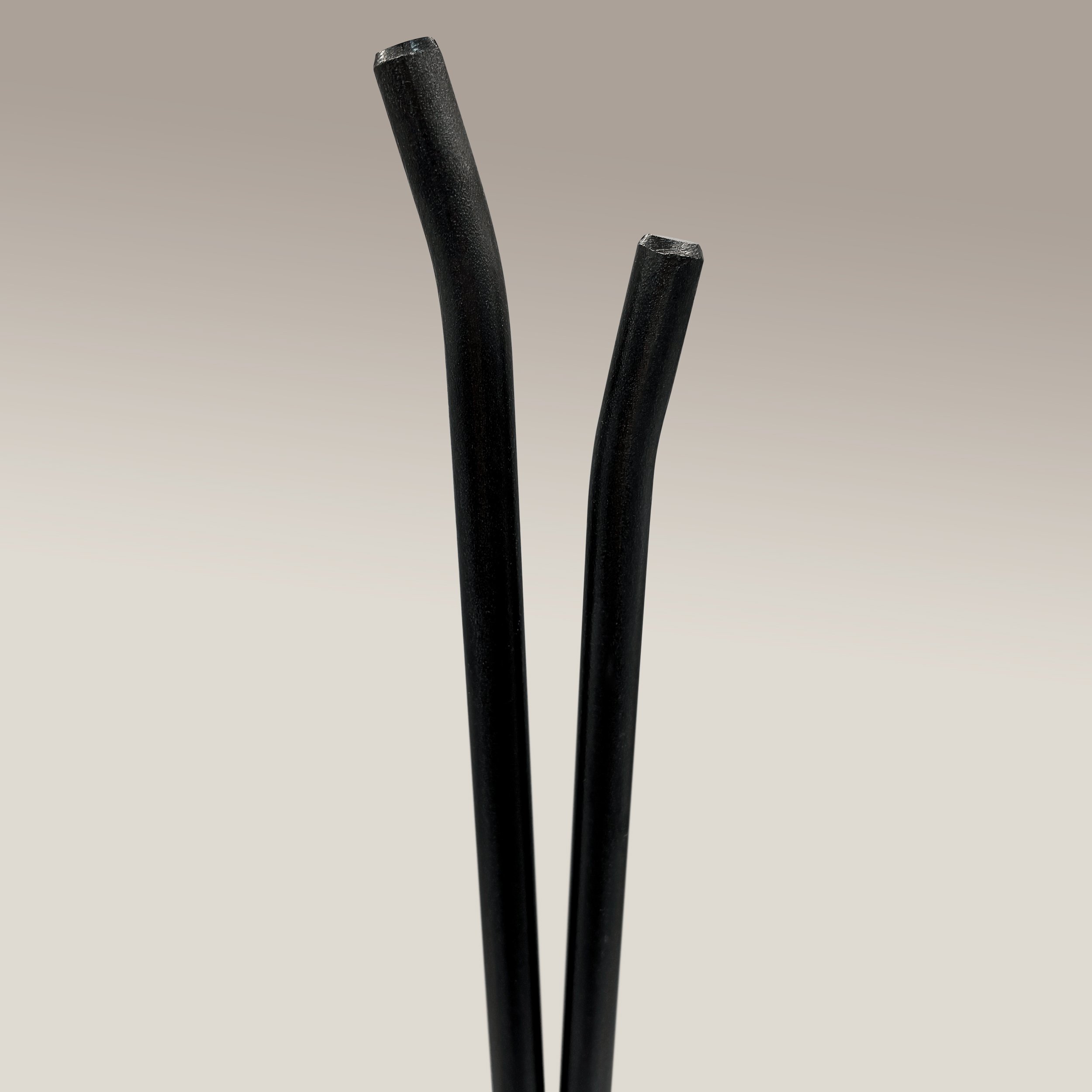 Willow-Brake_03.jpg