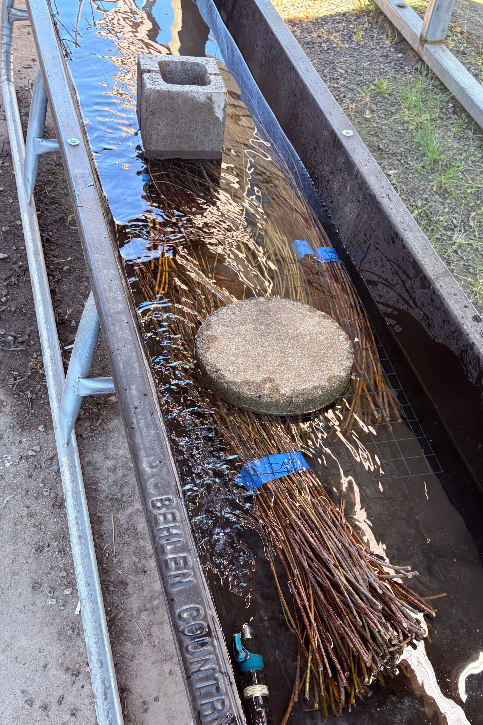 A metal water trough containing a bundle of sticks submerged in water, a cinder block at the far end, a round paver stone on top of the sticks.