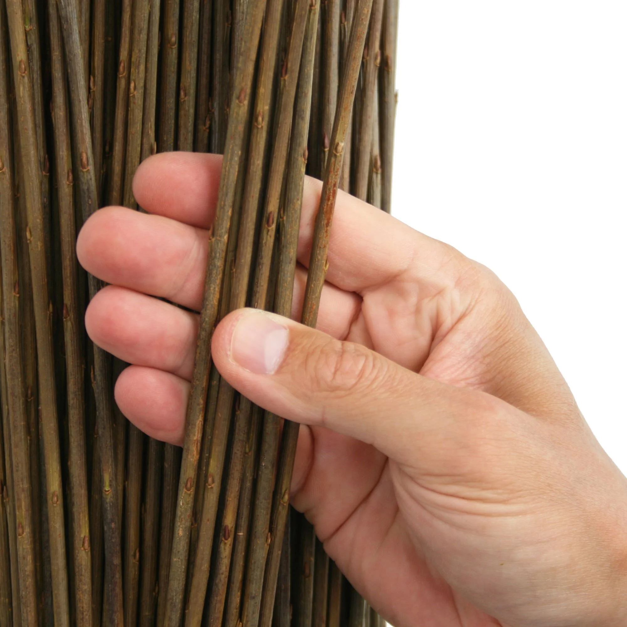 Musgrove Willows Brittany Green 01.jpg