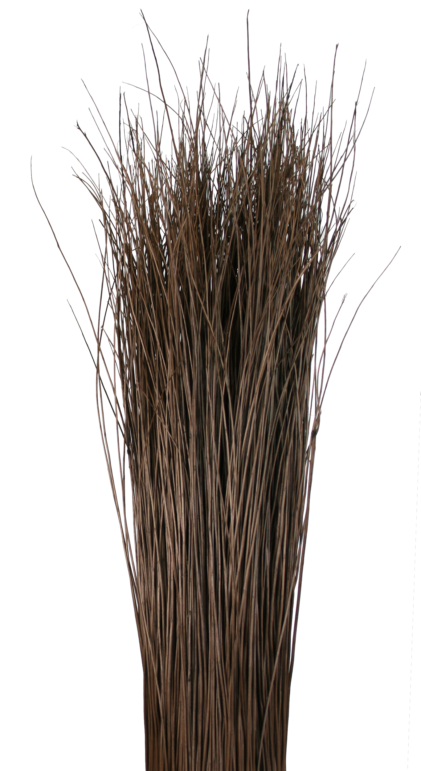 Musgrove Willow Buff Noir 02.png