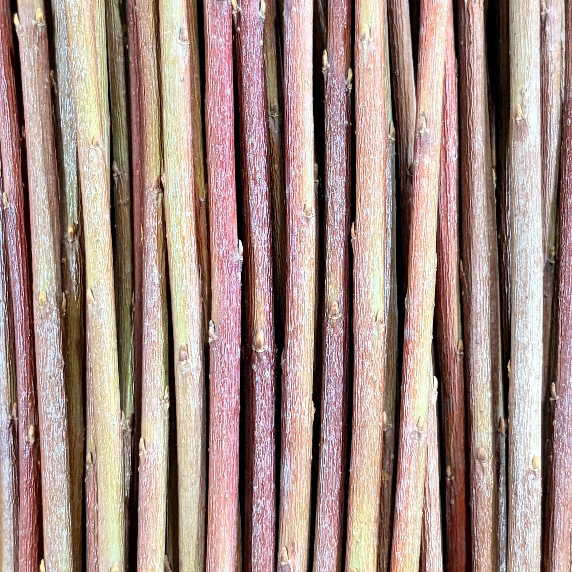 Lancashire Dicks Basketry Willow.jpg