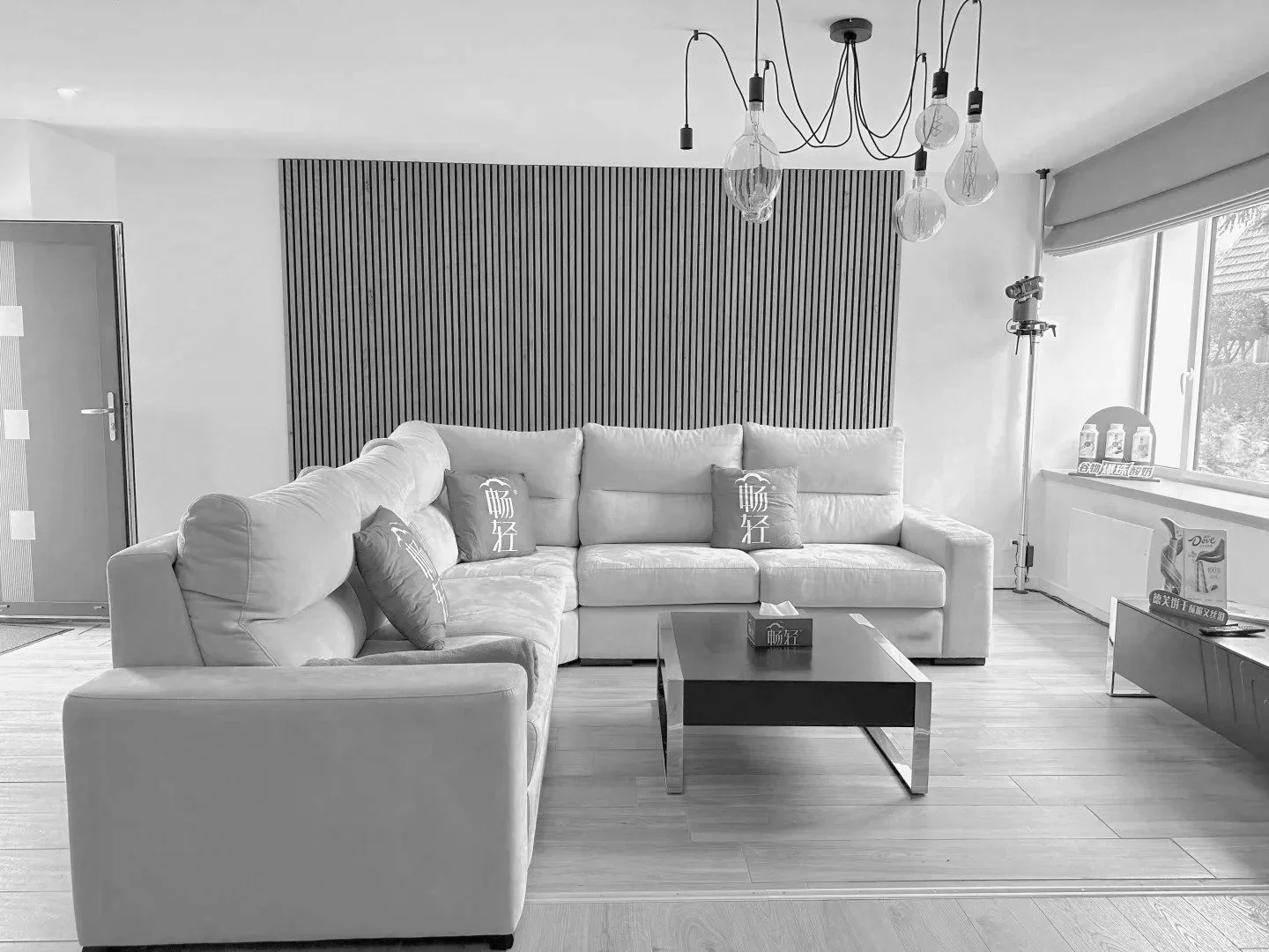 活动搭建 花儿与少年