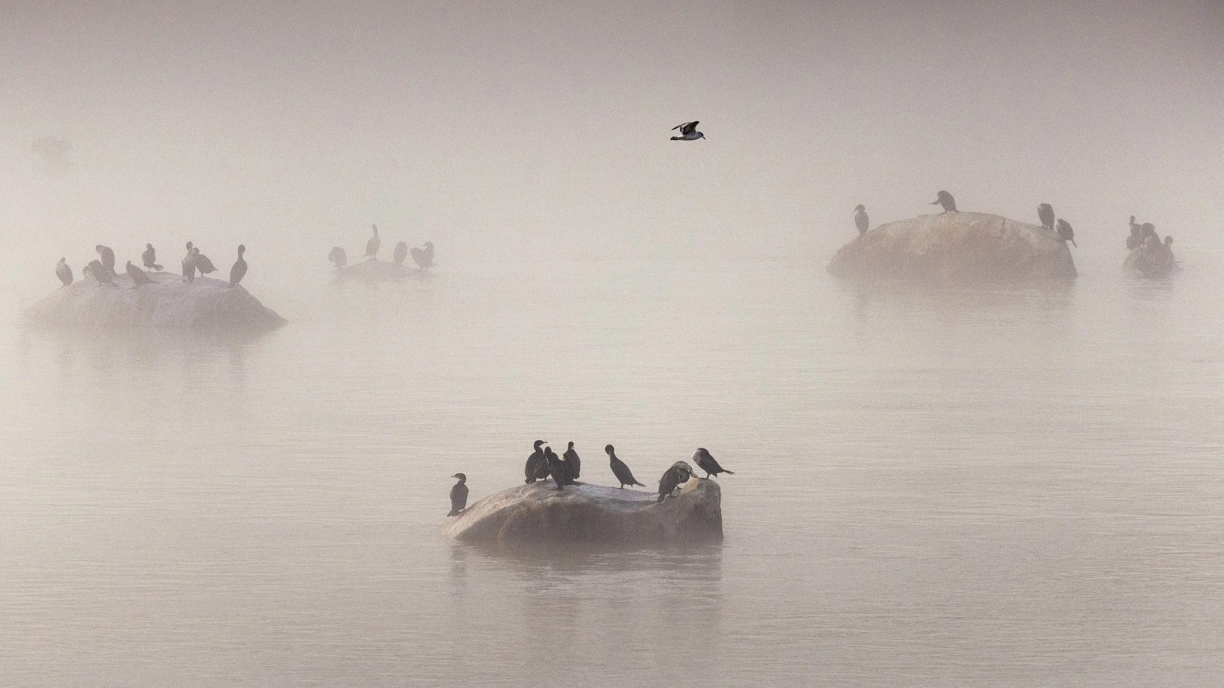 IMG_2061-Edit - Copy.jpg