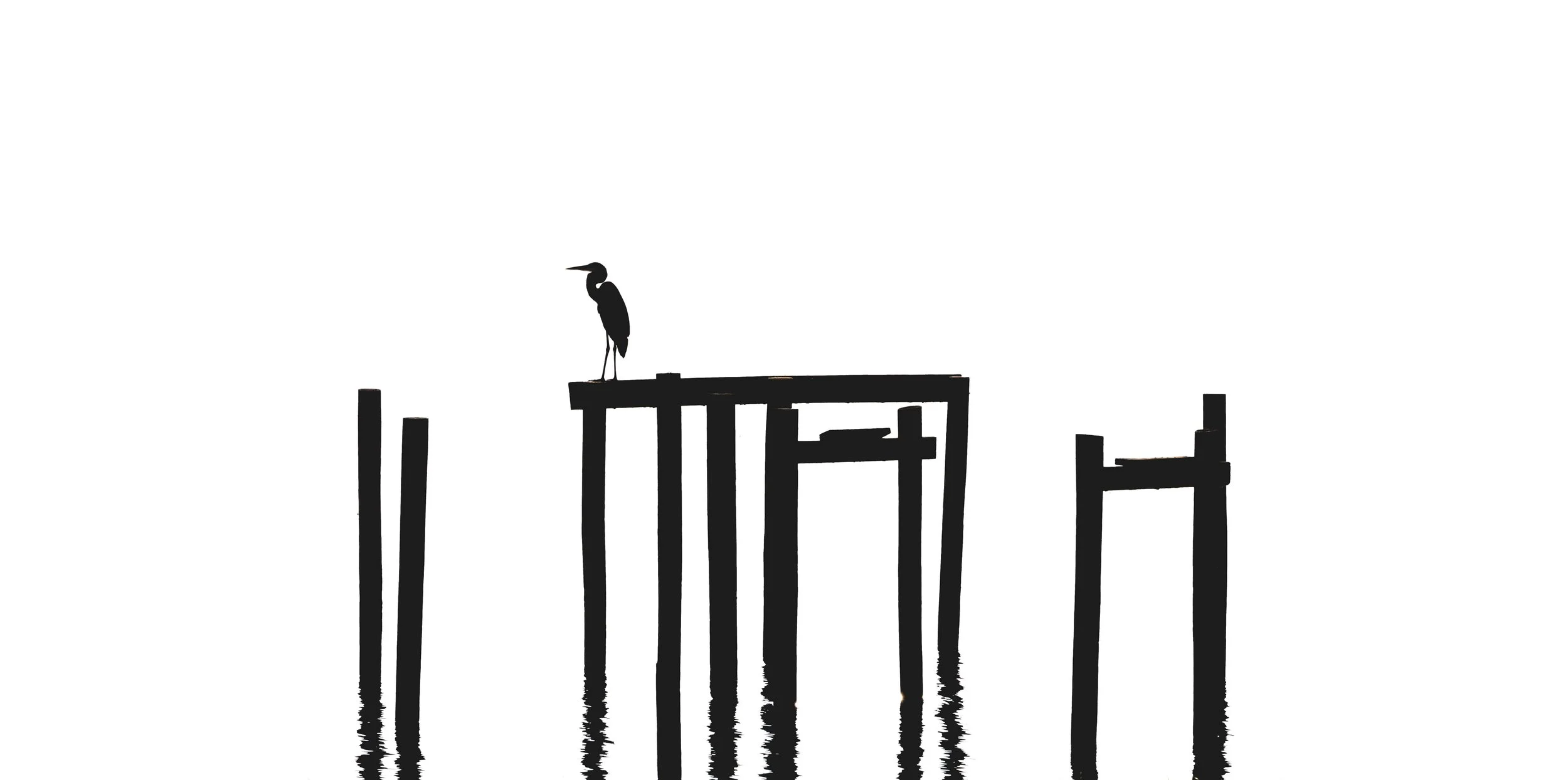 JOE11647-Edit - Copy.jpg